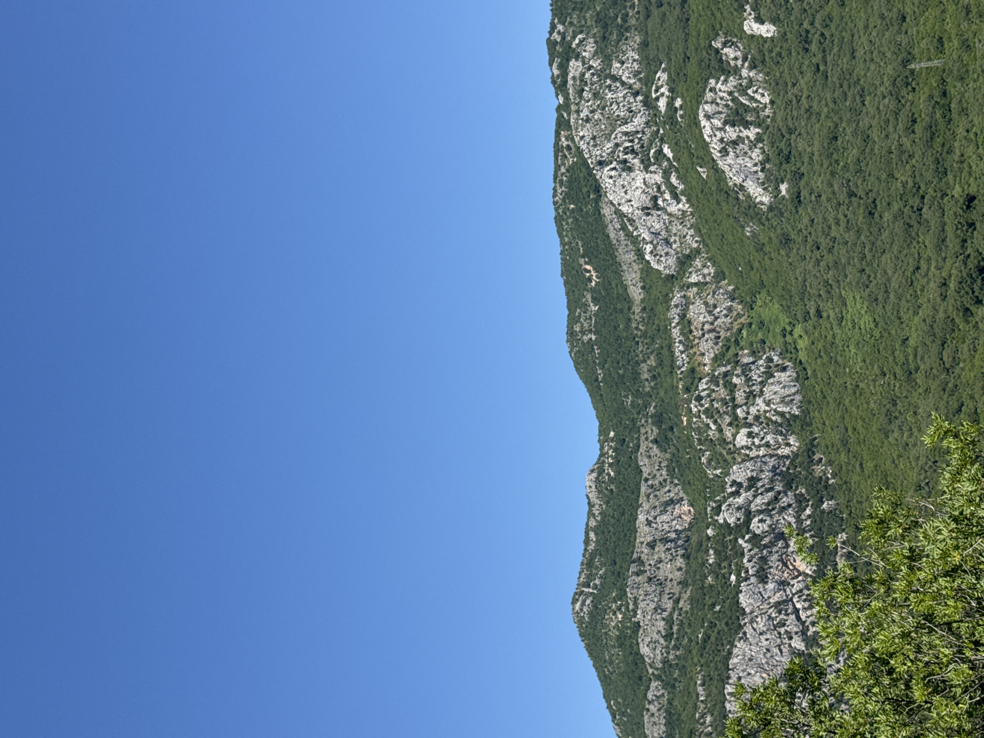 The image shows a mountain in Novoselje, Montenegro, partially covered in green trees and shrubbery, set against a bright blue sky. The mountain's rock formations are visible, varying in color from light gray to dark, weathered tones. The clear blue sky dominates the left side of the image, with the mountain spanning the right side vertically. Some green foliage appears in the bottom right corner.