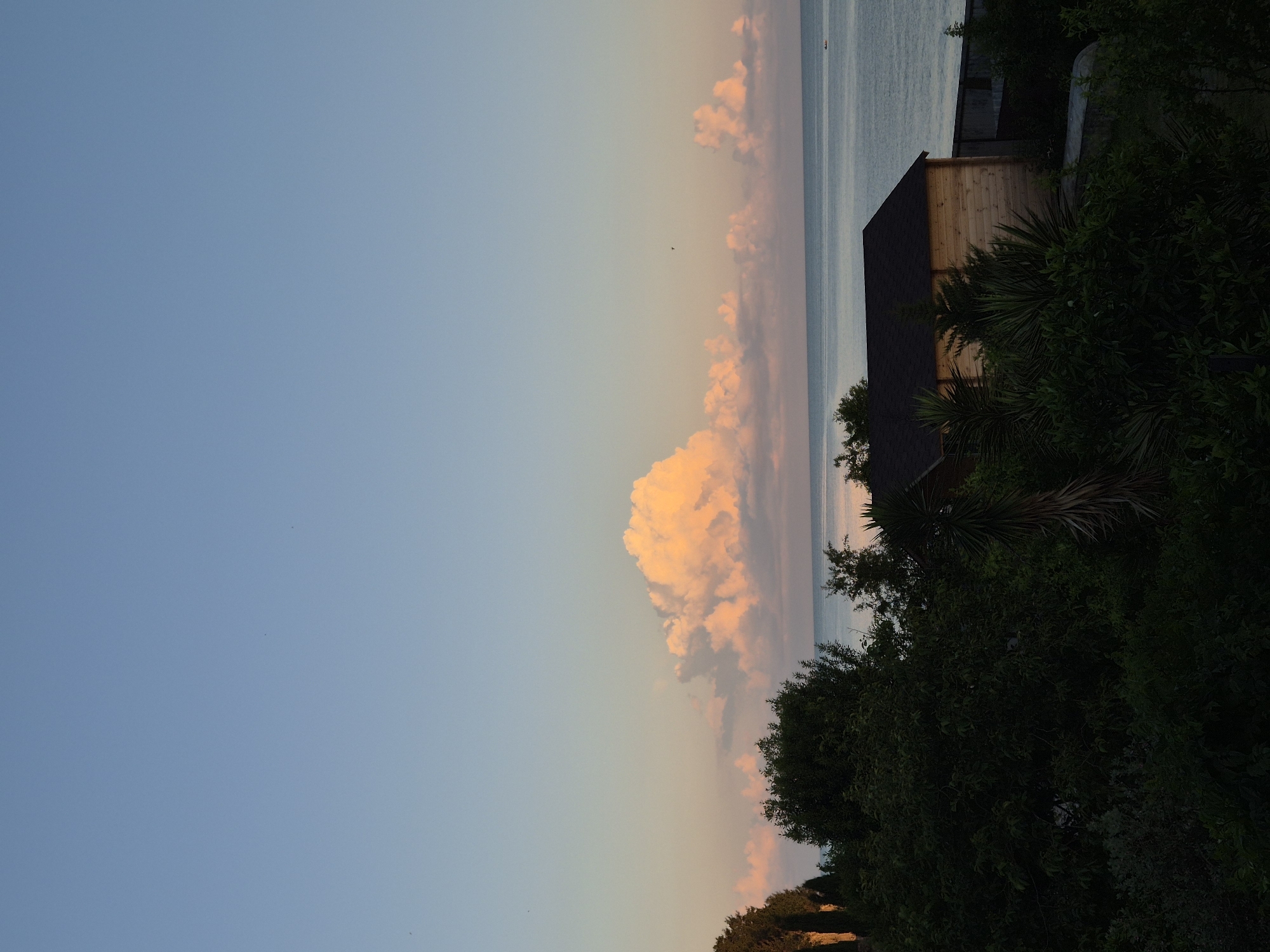 This is a landscape photograph taken in Ldzaa, Abkhazia. The image captures a serene scene during what appears to be either sunrise or sunset, with the sky transitioning from a pale blue at the top to softer hues of pink and orange near the horizon.
Dominating the upper portion of the image is the vast expanse of the sky. A large, fluffy cloud, illuminated by the soft light of dawn or dusk, is a prominent feature. Smaller clouds are scattered across the horizon, also tinged with warm colors.
Below the sky, a body of water, likely the sea, stretches across the middle ground of the image. The water is calm and reflects the colors of the sky. In the far distance, a small, dark silhouette of what could be a boat is visible on the water.
The foreground is filled with dense, dark green foliage. Various trees and bushes are densely packed, obscuring much of the ground. Among the trees, a wooden building with a dark roof is visible. The building appears to be a small structure, possibly a shed or a small house. To the right of the building, a concrete wall is partially visible, and further to the right, more dark foliage. The lighting on the wooden building suggests it is catching the last or first rays of sunlight. The overall impression is one of a natural coastal setting, with vegetation encroaching on a man-made structure near the water.