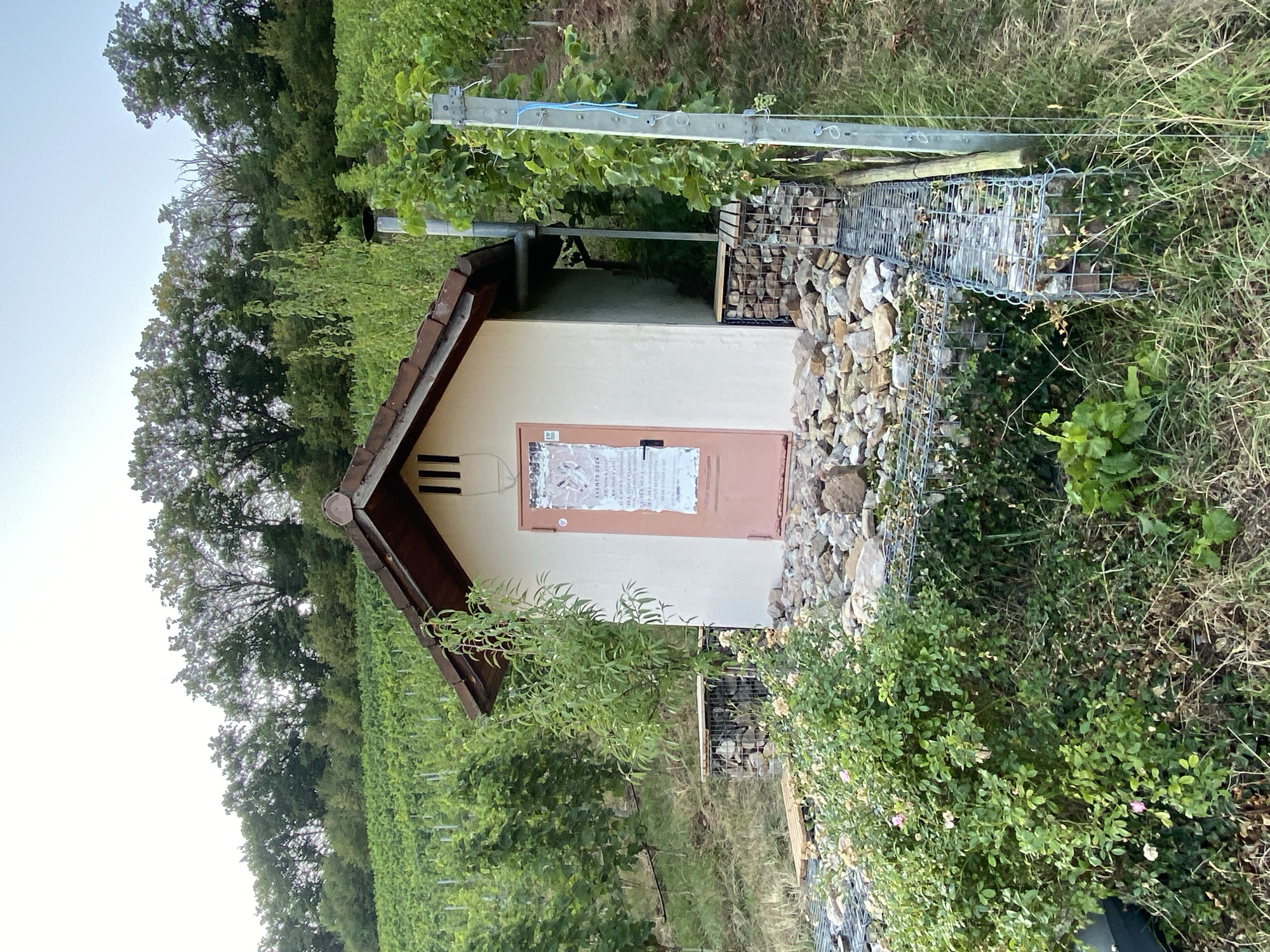 The image shows a small, light-colored building with a brown tiled roof situated on a vineyard-covered hillside. The building has a single light pink door with a poster attached to it, and a metal pipe extending from the roof. The area around the building is landscaped with rocks and gabion walls filled with stones, and there is lush green vegetation, including a small tree and a flowering bush. In the background, rows of grapevines extend up the slope, and a line of trees borders the top of the hill. The scene appears to be an outdoor storage shed or small utility building located within a winery or vineyard setting in Korb, Germany.