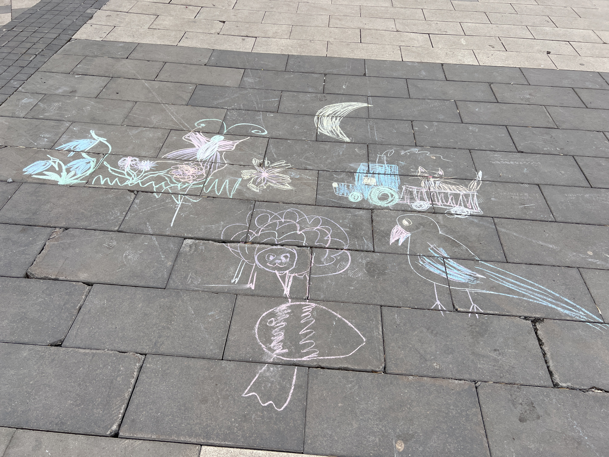 The image displays a lively collection of chalk drawings on a dark grey paved surface, indicative of a sidewalk or public square. The bright daylight suggests clear, sunny weather.
Numerous colorful chalk artworks are visible across the rectangular paving blocks. In the top left, light blue and green chalk outlines depict various flowers and leafy plants. Adjacent to these, a pink and purple butterfly with detailed wing patterns is drawn, surrounded by more pink and green flowers and wavy lines. Further right, a white crescent moon stands out.
In the upper right section of the pavement, a blue tractor is illustrated, pulling a train carriage outlined in light pink and white. A small, detailed cat with pink features is drawn riding inside this carriage.
Towards the bottom middle, a charming pink outline of a fluffy animal, possibly a sheep or a poodle, is visible, complete with facial features. Below this animal, another pink drawing resembles a fish or a teardrop shape, filled with wavy lines. On the bottom right, a large bird is outlined in white with light blue shading on its wing and tail, standing on two legs with an open beak.
The dark grey pavement blocks, which serve as the canvas, show some signs of wear and minor cracks. To the left and upper edge of the frame, the dark pavement transitions into an area of lighter-colored paving stones, hinting at different zones within the urban landscape. No discernible text is visible in any of the drawings or on the pavement. The scene captures a moment of playful creativity.