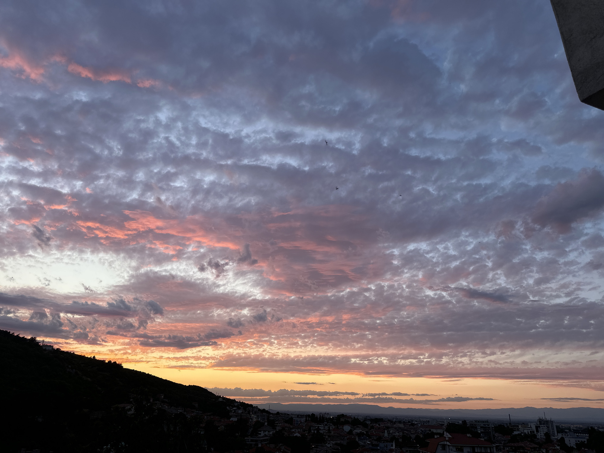 A sunset is captured over Asenovgrad, Bulgaria, painting the sky with hues of pink, orange, and purple. The clouds are textured, with some appearing wispy and others more dense. A dark, silhouetted hillside occupies the left side of the frame, with a scattering of buildings and trees visible along its lower slope. The city of Asenovgrad stretches across the lower portion of the image, with rooftops and buildings creating a dark, detailed landscape against the vibrant sky. In the distance, a faint mountain range is visible on the horizon. Several small birds are scattered throughout the sky, adding a dynamic element to the scene. A portion of a concrete structure, likely a building overhang, is visible in the upper right corner of the image.