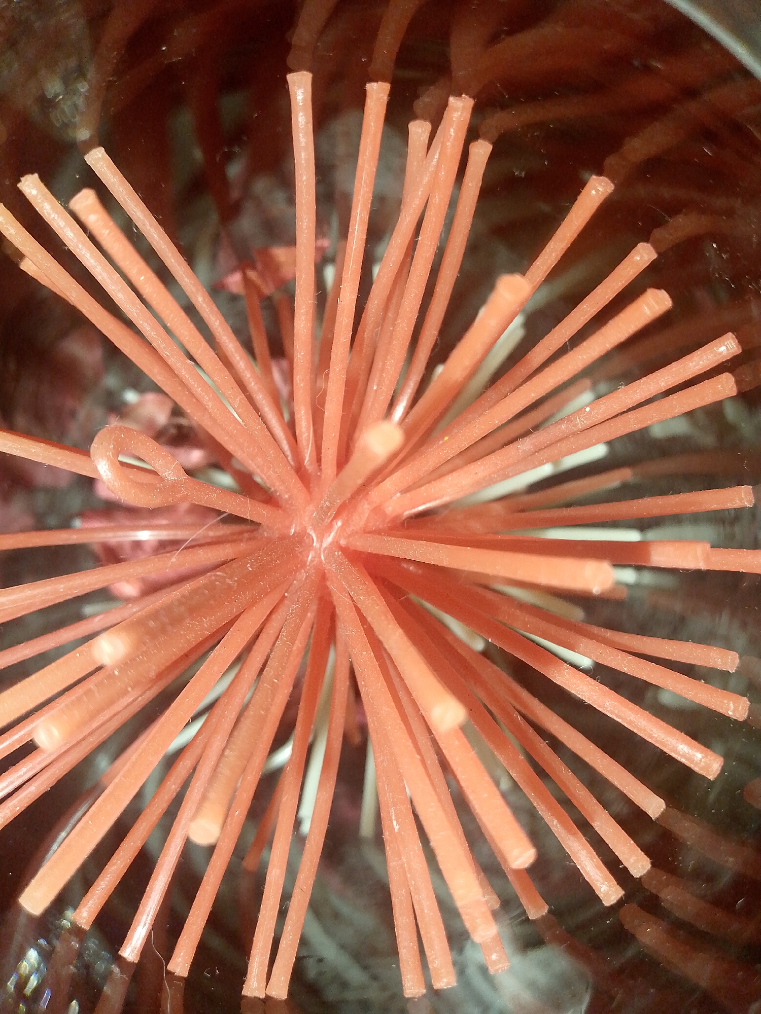 The image shows a close-up view of a collection of pink plastic rods radiating from a central point, resembling a spherical or starburst shape. Some of the rods have a slight texture or ridges. The rods appear to be contained within a transparent container, possibly glass or clear plastic, as reflections and distortions can be observed on the surfaces. There are a few white plastic rods mixed in as well. The background is blurred and out of focus, suggesting the depth of field is shallow. The scene is brightly lit. The image does not provide any information about the location of Caracas, Venezuela or any people, subjects, actions, or interactions.