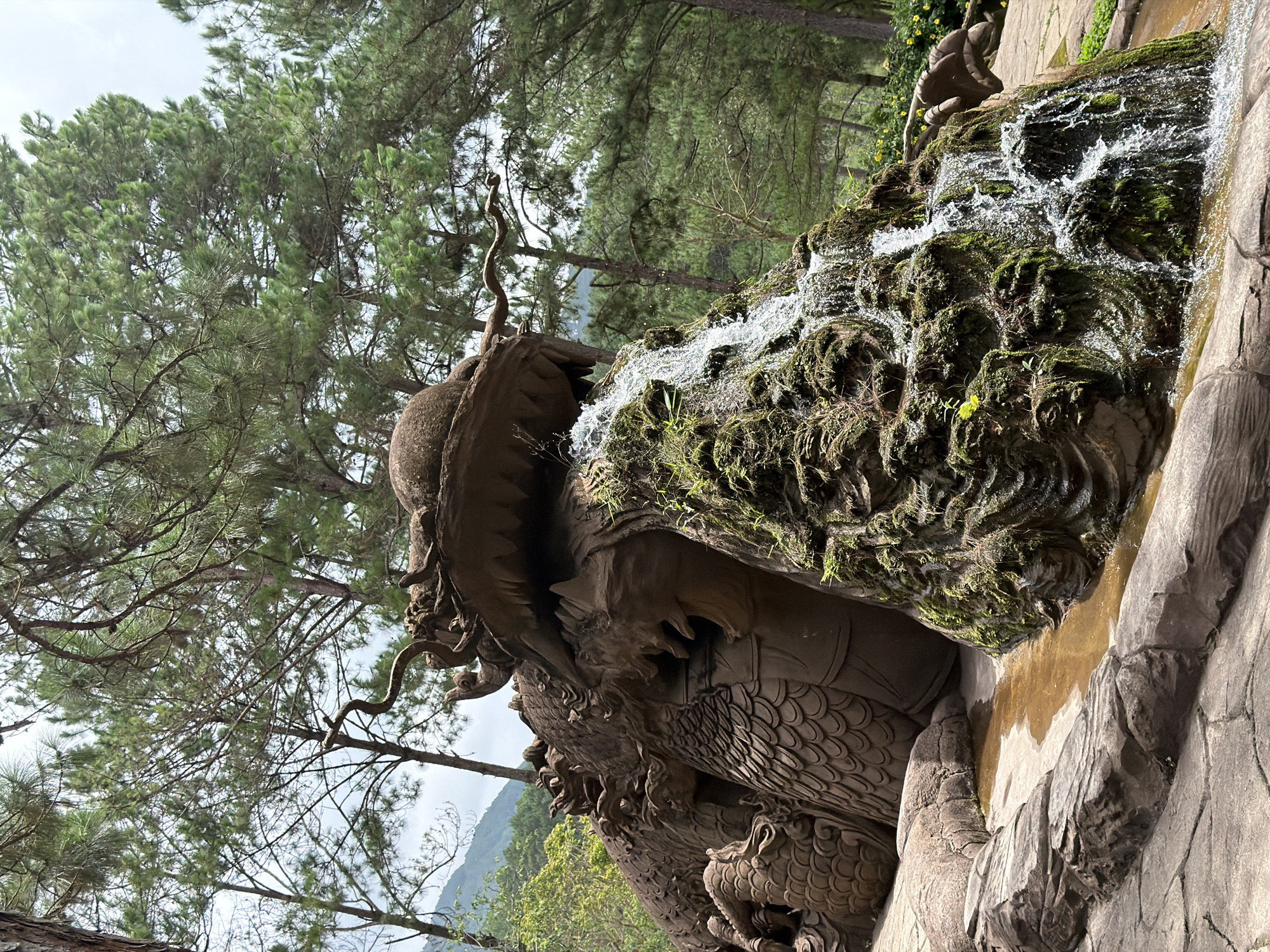 The image shows a large, brown stone dragon sculpture in a park-like setting. Water cascades down a moss-covered rock formation protruding from the dragon's mouth, creating a small waterfall. The dragon is detailed with scales and a fierce expression. In the background, tall pine trees with green needles dominate the scene, with a slightly overcast sky visible through the branches. The ground around the sculpture is paved with stone. This is likely the dragon-shaped waterfall at the Datanla Waterfall tourist attraction in Da Lat, Vietnam. There are no people or animals visible in the image.