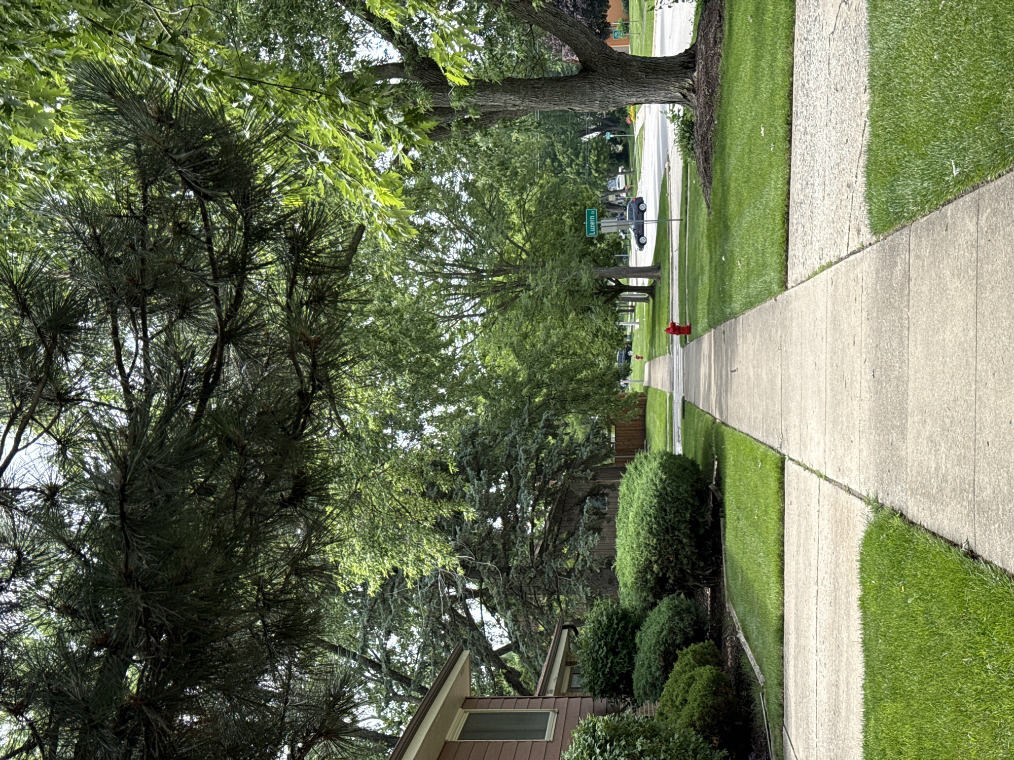 The image depicts a residential street in Woodridge, USA, on a bright, sunny day. A concrete sidewalk runs along the right side of the frame, bordered by a lush green lawn. The sidewalk leads into the distance, where it meets a street with cars parked and driving. Mature trees with full green foliage line the street, casting shadows on the sidewalk and lawns. A red fire hydrant is visible along the sidewalk. The scene suggests a quiet, suburban neighborhood. Text is visible on a green street sign that reads "Luxem." The overall mood is peaceful and serene, indicative of a typical summer day in the suburbs.