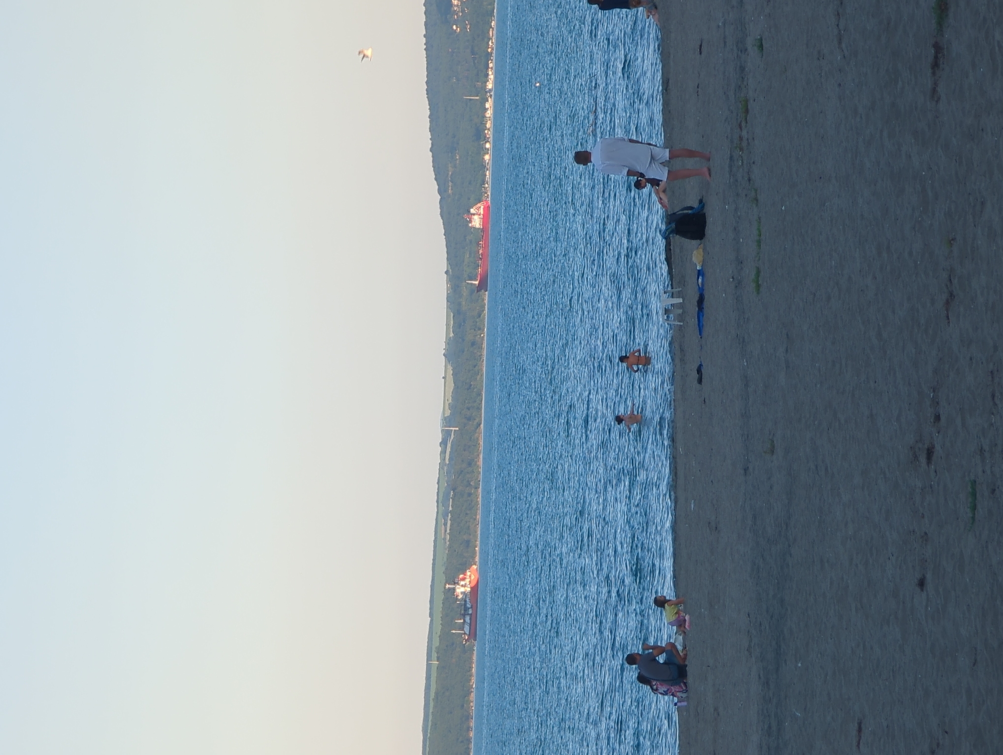 The image depicts a sunny day at a beach in Burgas, Bulgaria, likely on the Black Sea coast. The foreground is a sandy beach with several people. On the left, a family group consisting of two adults and two children are seated near the water's edge. One adult, possibly female, is sitting with their back to the camera, and next to them is a child in a yellow shirt. Another adult, possibly male, is also seated. Another child is playing in the shallow water. In the middle of the frame, a man wearing a white shirt and white shorts stands facing away from the camera, looking out at the sea. A person is sitting on the sand near him. Further back, several people are visible in the water, some wading and others swimming. In the distance, two large cargo ships are visible on the bright blue sea. One ship, predominantly red, is closer to the shore, while another, a different color, is further out. The background features a green, tree-covered hillside with some structures visible. The sky is a clear, pale blue, with a single bird in flight towards the upper right of the frame. The overall atmosphere suggests a relaxed summer day at the beach.