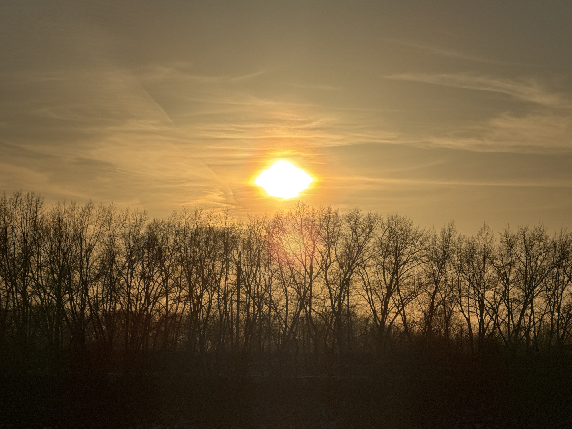 A landscape image depicts a silhouette of a forest against a setting sun. The trees are bare, suggesting it is either late autumn or winter. The sun is positioned in the upper center of the frame, appearing as a bright, distorted diamond shape. The sky has streaks of clouds. The foreground is dark. Without further details, the location in Chaikovsky, Russia cannot be determined with certainty.