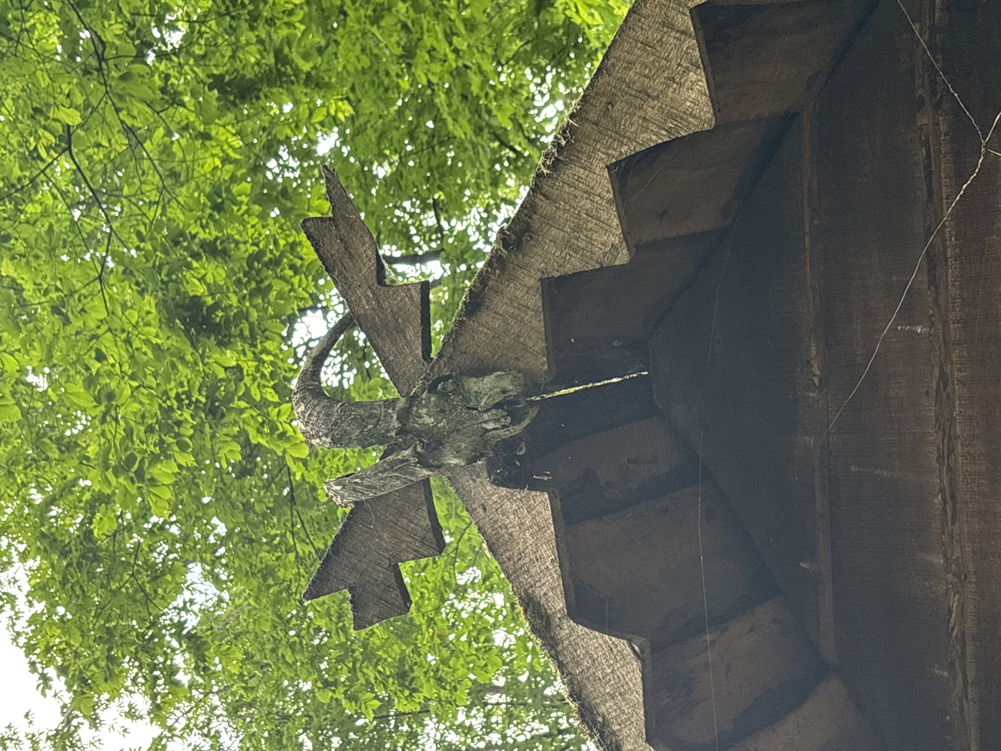 A carved wooden gargoyle, shaped like a mythical creature with horns and wings, is mounted on the apex of a wooden roof. The gargoyle appears to be spitting out a yellow liquid. The roof is covered with a textured material, possibly burlap or thatch, and is supported by dark wooden beams. Lush green trees with dense foliage form the background, suggesting an outdoor setting, possibly in a park or forest. The image was taken from a low angle, looking upwards towards the gargoyle and the trees. The location is identified as Gorki, Russia.
