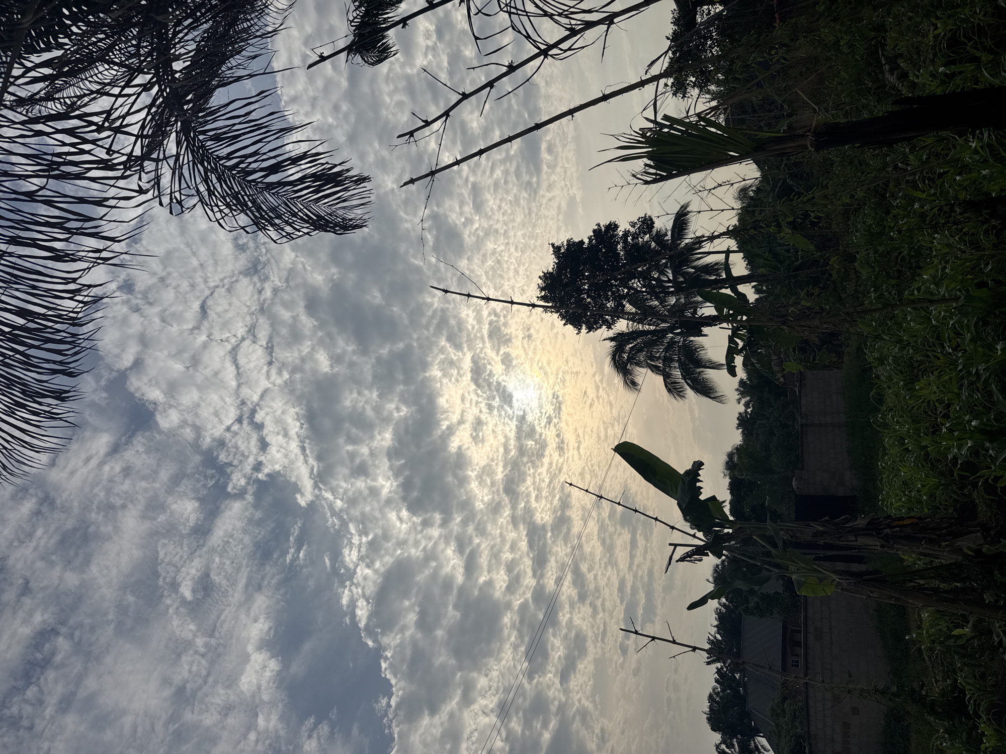 Looking upwards, the image shows a sky filled with stratocumulus clouds, obscuring the sun in Aboh, Nigeria. Silhouetted foliage, including palm trees, is visible along the edges of the frame. The location appears to be in a rural or semi-rural area, indicated by the presence of trees and vegetation. A building and a wall are visible in the background, partially obscured by greenery. Power lines stretch across the sky in the foreground. There are no people visible in the image.