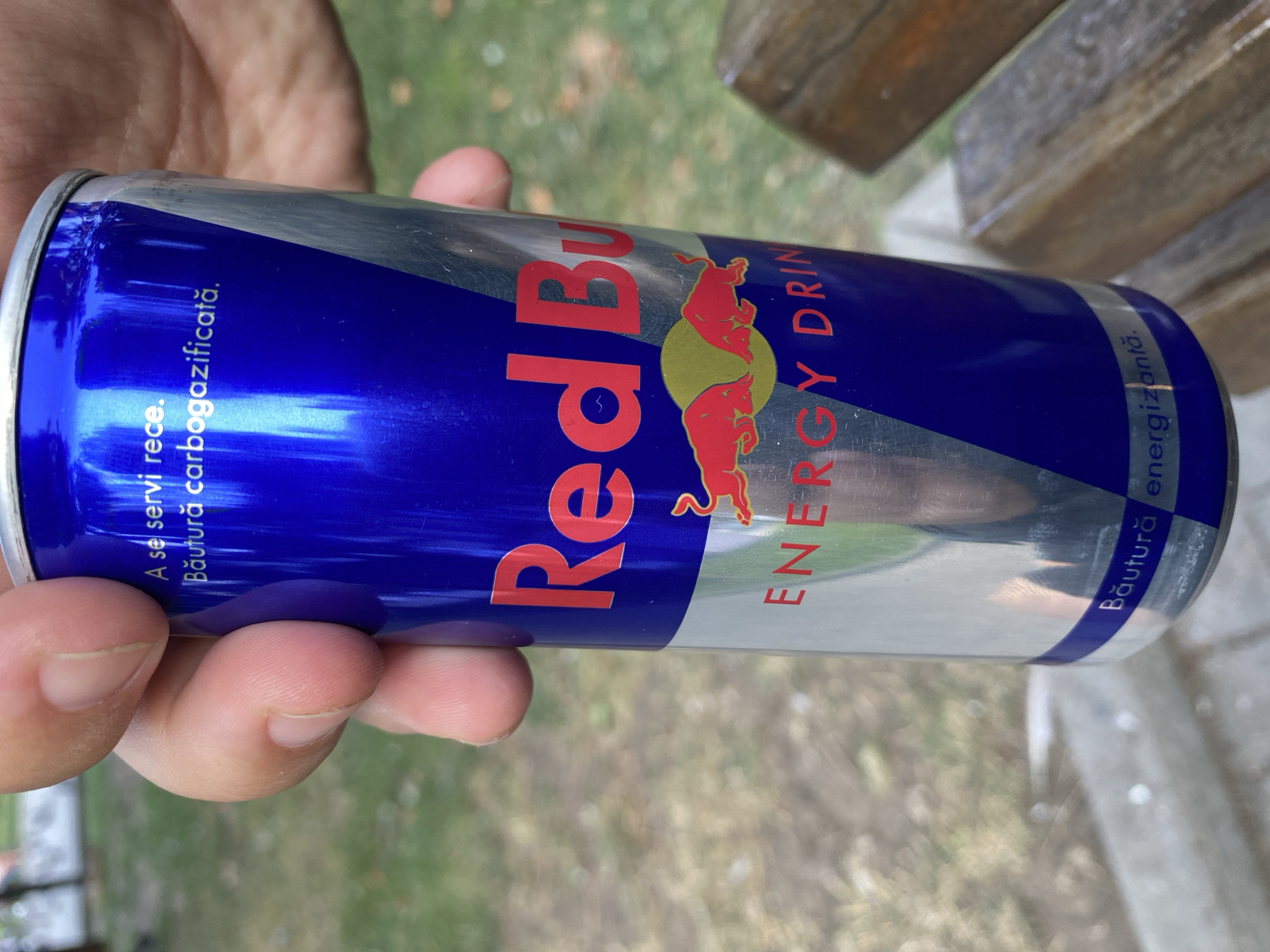 A hand is holding a Red Bull energy drink can. The can is predominantly blue with silver accents. The Red Bull logo, featuring red bulls and a yellow sun, is visible, as is the text "ENERGY DRINK" and "Băutură energizantă." The background consists of blurred greenery and what appears to be a wooden bench, suggesting an outdoor setting possibly in a park or public area.