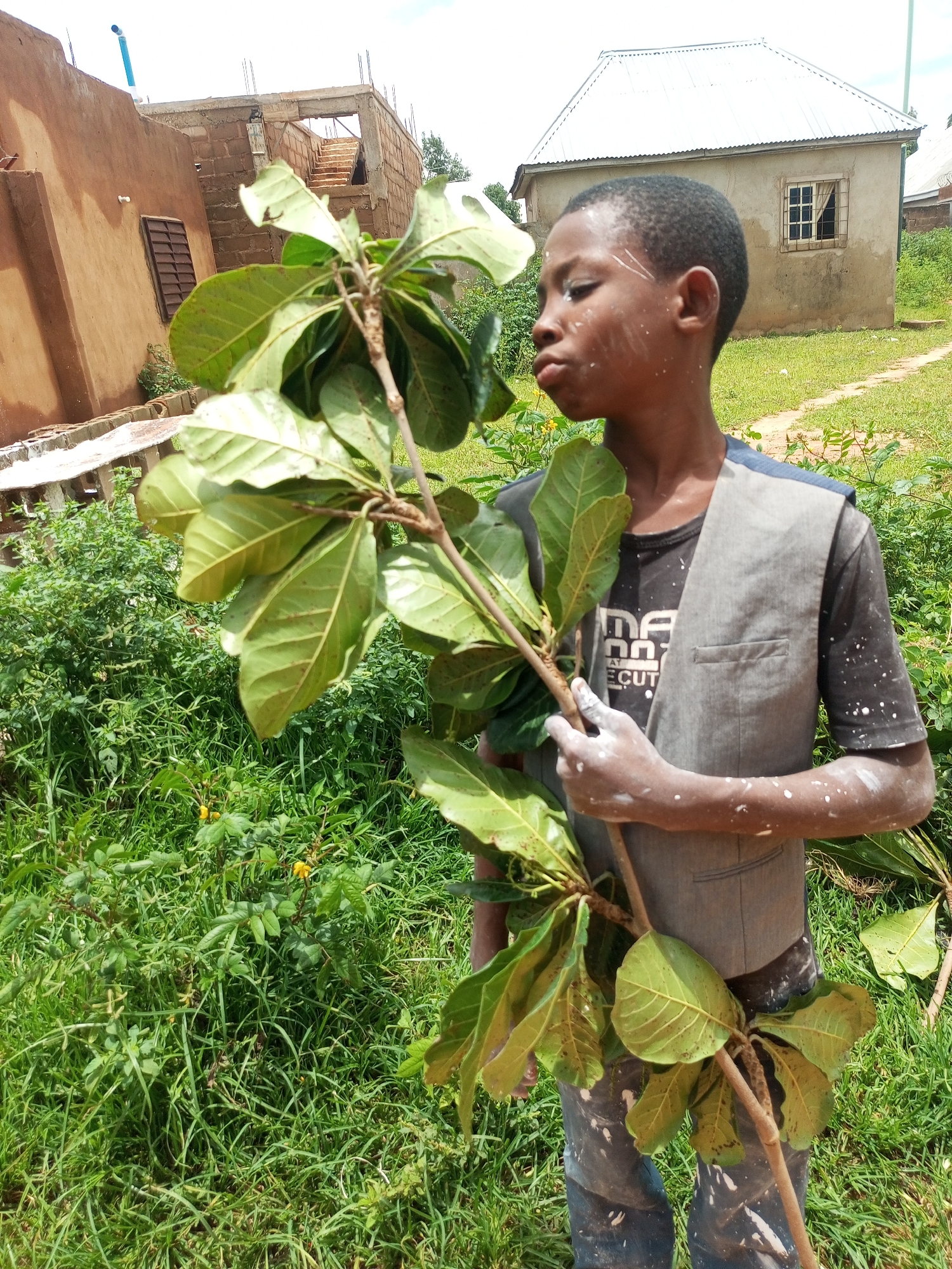 A young boy, appearing to be of Nigerian descent, stands in an outdoor environment in Tempure, Nigeria, holding a branch with large green leaves. He is wearing a dark t-shirt with a graphic print and a grey vest, with his arms and clothing speckled with white paint. His facial expression is one of contemplation or slight pursing of lips as he looks towards the branch. The background reveals a slightly out-of-focus scene with a building under construction on the left, characterized by brown brickwork and exposed rebar. To the right, a small, weathered building with a corrugated metal roof and a barred window is visible. The ground is covered in lush green grass and vegetation, with a dirt path winding through it. The lighting suggests it is daytime, with natural sunlight illuminating the scene.