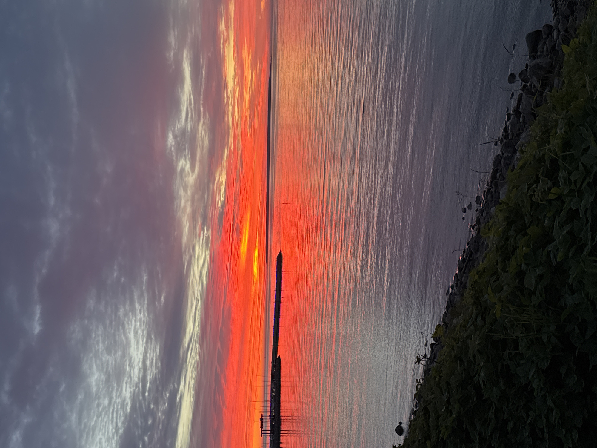This is a vertical, eye-level, full shot of a sunset over the Baltic Sea in Tallinn, Estonia. The sky is a dramatic display of color, with vibrant oranges and reds dominating the horizon, transitioning to softer pinks and purples, and finally to dark gray clouds at the top of the frame. The water reflects the intense colors of the sky, creating a fiery, shimmering surface. On the left side of the image, a pier juts out into the water, lined with bare masts of sailboats. A rocky shoreline with lush green vegetation is visible in the foreground. The scene is peaceful and serene, capturing the beauty of nature at dusk.