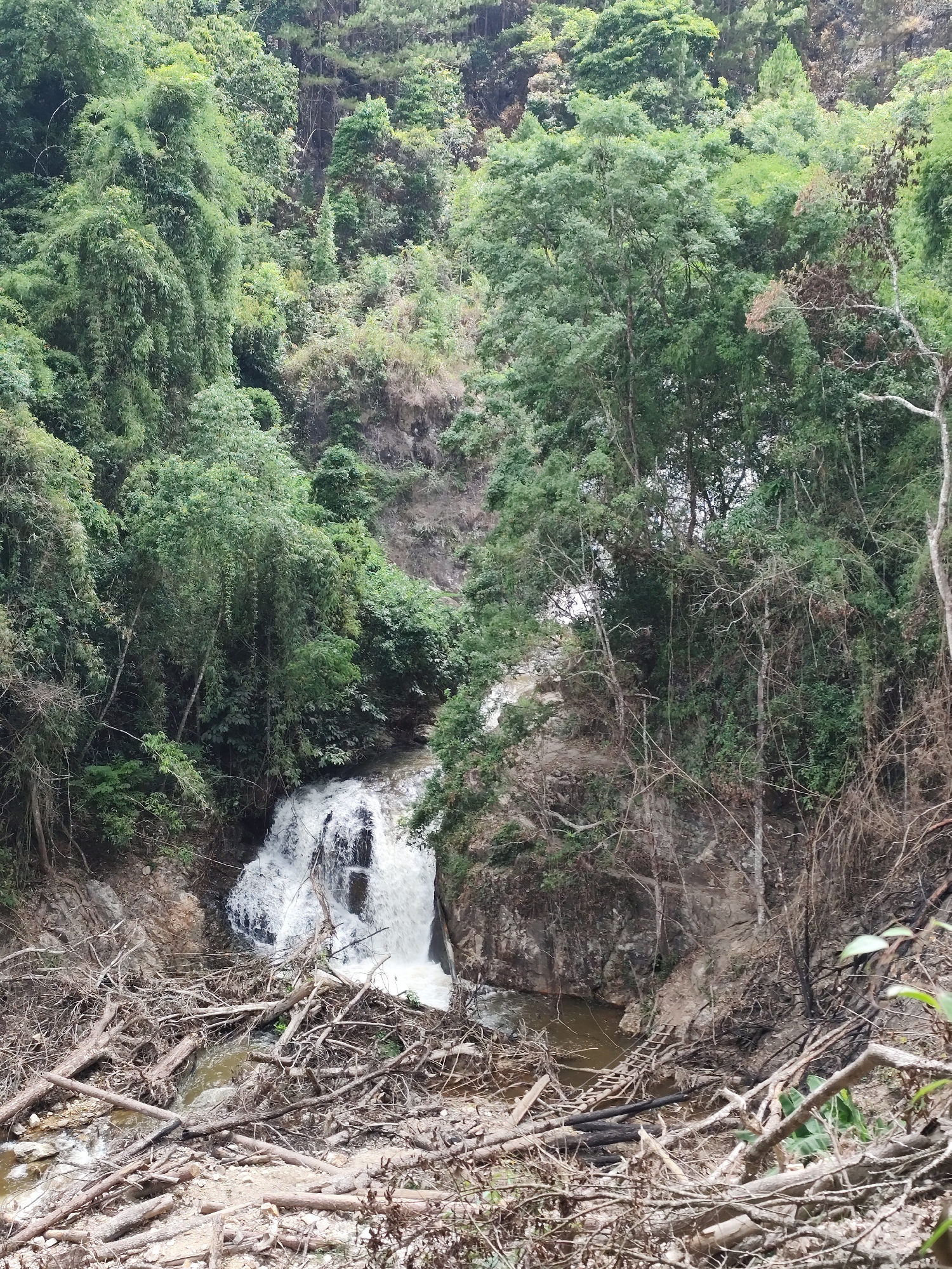 The image shows a waterfall in a lush, green forest setting. The water cascades down a rocky cliff into a pool below, surrounded by a tangle of fallen branches and logs. The scene is dense with trees and vegetation, indicating a natural environment. The location is possibly in the city of Da Lat, Vietnam, based on the landscape. There are no people visible in the image.
