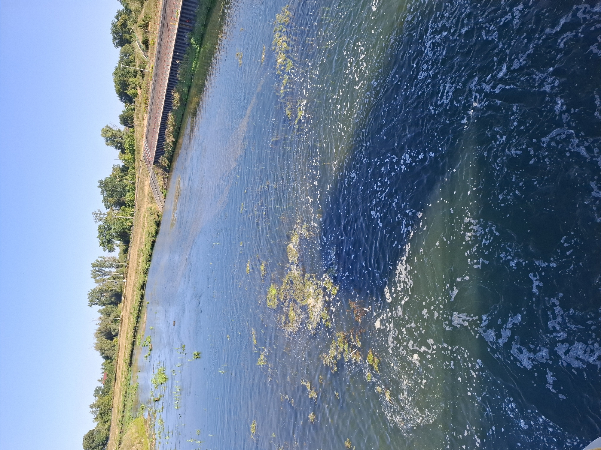 The image shows a wide river with clear blue water and patches of green aquatic vegetation. The riverbanks are lined with trees and dry grass. On the right bank, a paved walkway runs parallel to the river, with metal railings and steps leading down to the water. The sky is clear and blue. The scene appears to be a natural setting within or near a city, possibly Lewin Brzeski, Poland, given the context.