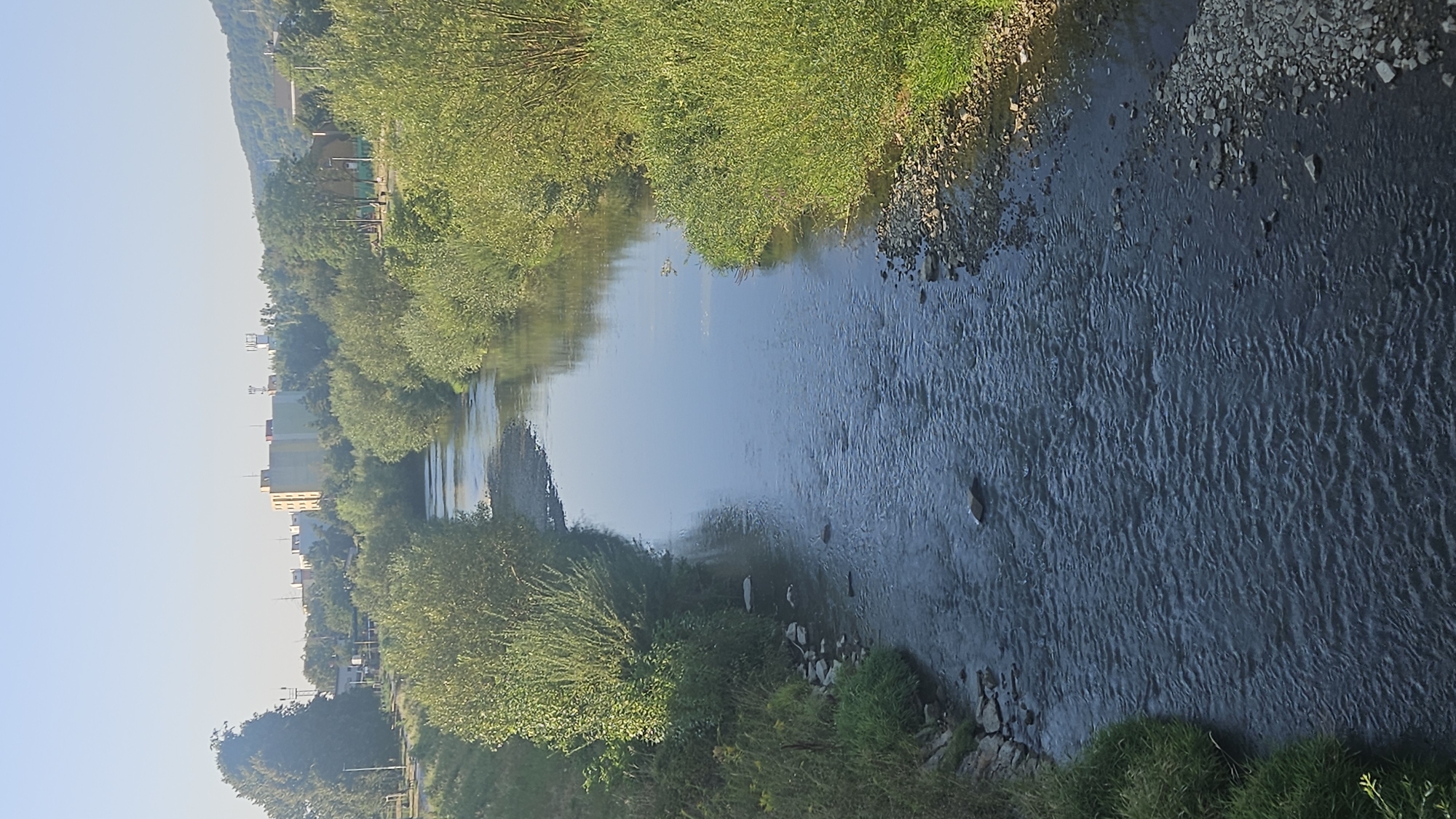 This is a vertical, high-angle shot looking down a gently flowing river through a city. The river is flanked by lush green trees and bushes on both banks. In the distance, several multi-story buildings and some communication towers are visible, suggesting an urban environment. The sky is clear and bright, indicating it is daytime. The riverbed is visible in parts, with some stones and gravel. The water is calm, with some ripples reflecting the light. The overall impression is of a peaceful natural scene integrated within a city. The buildings in the background are characteristic of residential areas in Prešov, Slovakia.