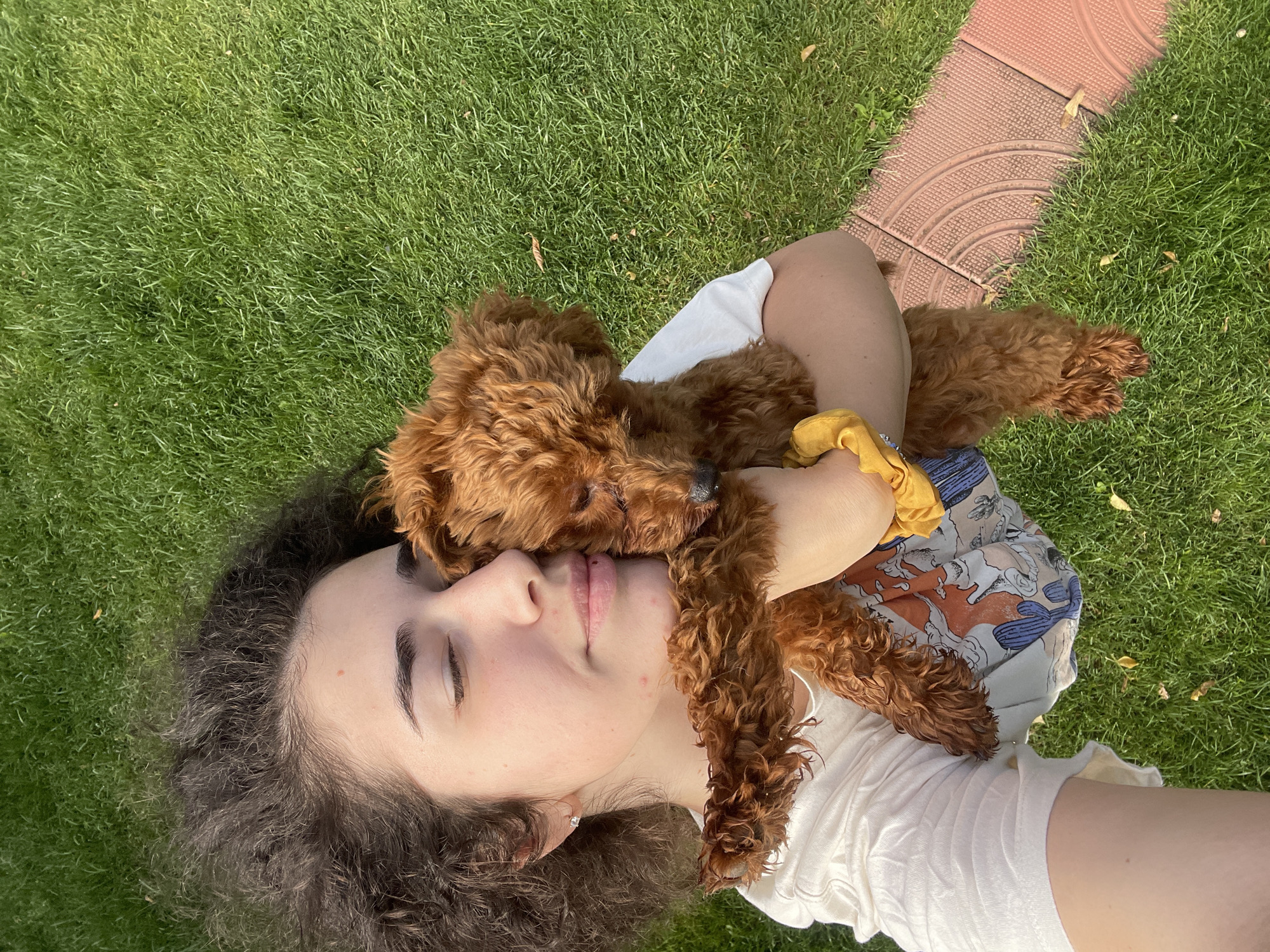 The image captures a serene and affectionate moment outdoors in Sofia, Bulgaria, featuring a young woman and a small dog. The perspective is from above, looking down on the subjects as they recline on a vibrant green lawn.
The primary subject is a young woman, whose head and upper torso are visible. She has dark, curly hair that spreads across the grass. Her eyes are gently closed, conveying a sense of peace and relaxation, possibly napping or simply resting. She is wearing a white t-shirt and patterned shorts or a skirt. A small, silver stud earring is visible in her left earlobe.
Cuddled close to her face and neck is a reddish-brown dog with curly fur, resembling a poodle or cockapoo puppy. The dog's head is nestled against the woman's cheek, and its body is draped over her arm, suggesting a deep bond and comfort between them. The dog also appears to be resting or sleeping. A yellow scrunchie or piece of fabric is visible on the woman's arm.
The setting is a lush, well-maintained grassy area, likely a park or garden. Bright natural light suggests it is daytime, with clear sunshine. In the upper right portion of the frame, a segment of a reddish-brown, patterned pathway or stepping stone is visible, providing a contrasting texture to the soft grass. A few dried leaves are scattered on the lawn.
The overall scene radiates tranquility and warmth, highlighting a tender moment of companionship and relaxation. No visible text is present in the image.