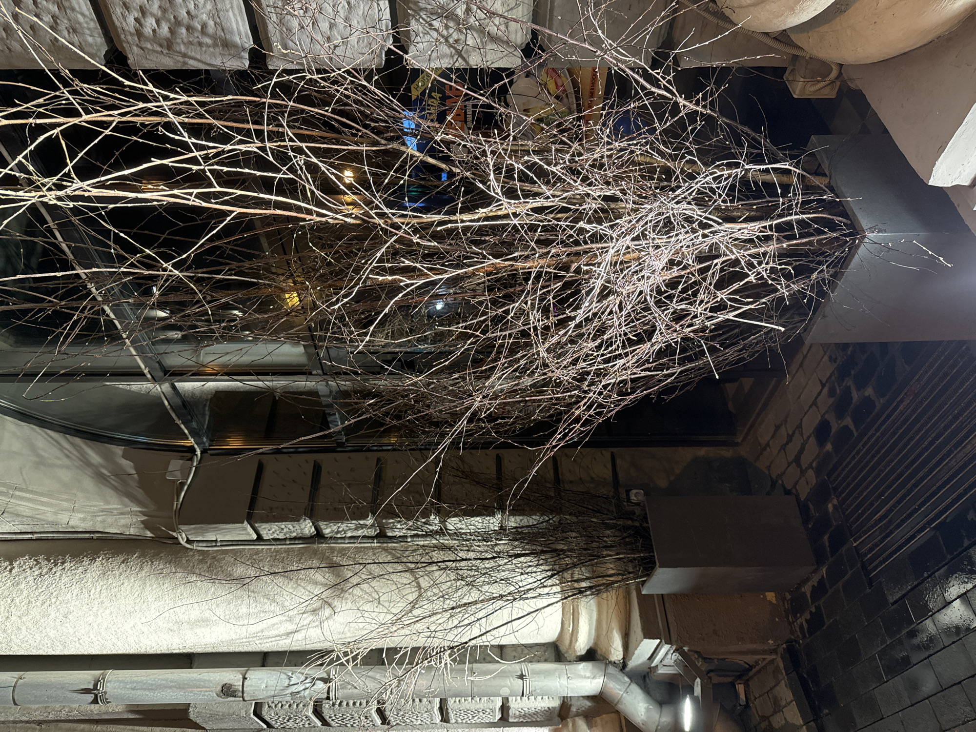 A photograph taken at night in Moscow, Russia, shows a dimly lit urban alleyway from a low angle, looking up. A dense thicket of bare branches dominates the foreground, obscuring much of the view. Behind the branches, there's a building facade with a rounded window reflecting streetlights. The building's exterior is textured, with pipes and electrical conduits running along the surface. To the right of the frame, there's a brick wall with a metallic grate, partially obscured by shadows. The overall impression is of a cluttered and slightly neglected urban space.