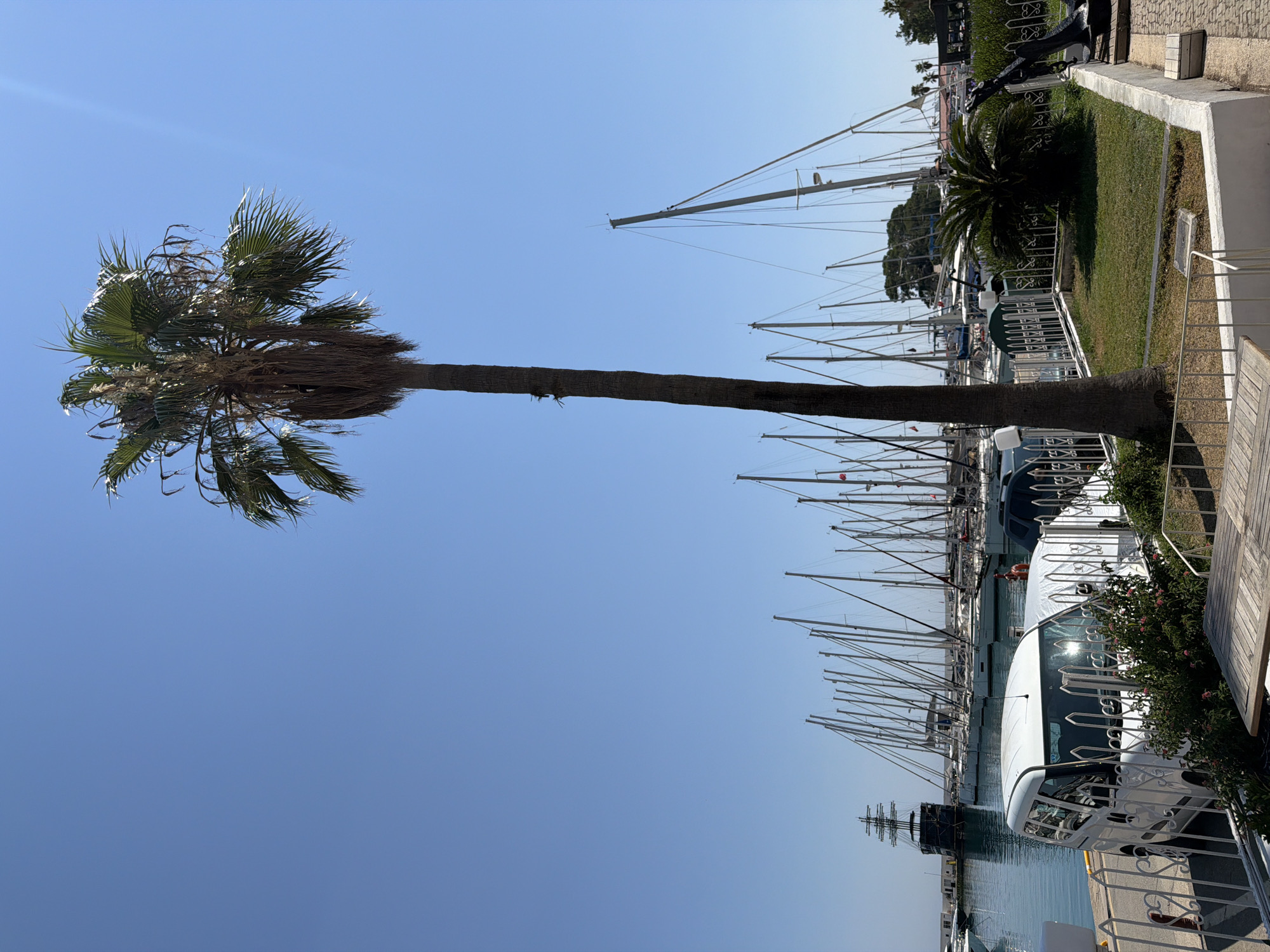 In the city of Kemer, Turkey, a marina scene unfolds under a clear blue sky. A tall palm tree stands prominently in the foreground, its fronds casting faint shadows. In the middle ground, a white van is parked behind a decorative white fence, with a canvas-covered object to its right. Beyond the van, a fleet of sailboats with tall masts is docked in the harbor. To the far left, a large, dark-colored ship resembling a pirate ship is also visible in the water. The background is dominated by the calm blue of the sea and sky, with some distant greenery and buildings. The overall impression is one of a peaceful harbor on a sunny day.