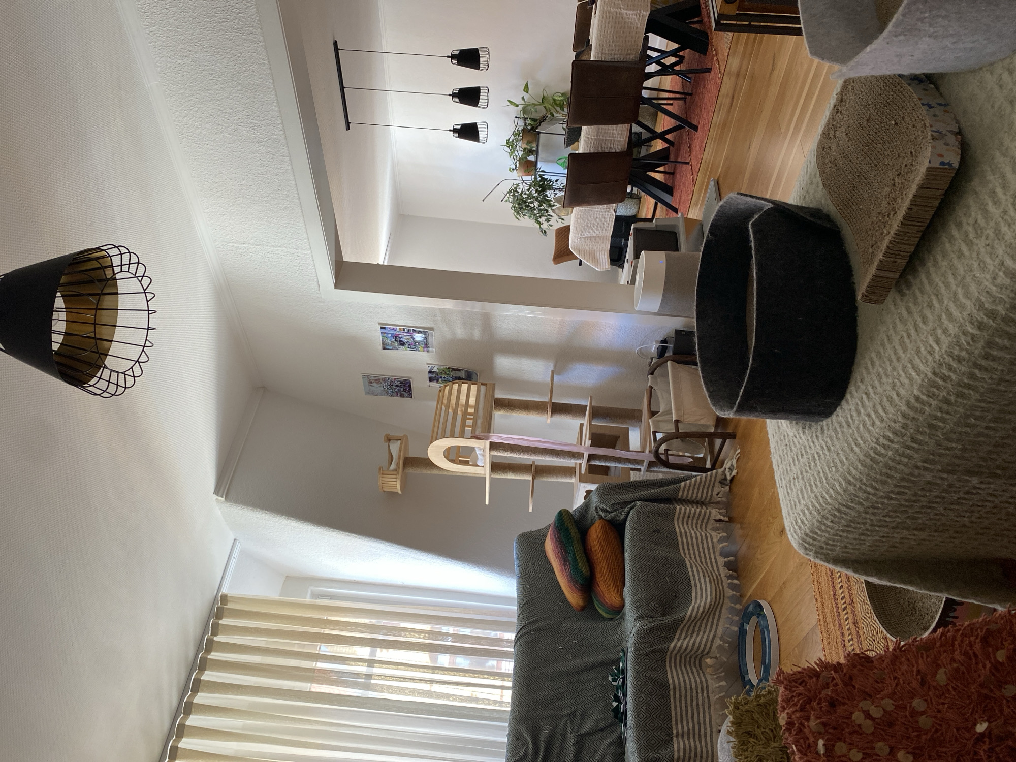 The image depicts a sunlit living and dining area, likely located in Hildesheim, Germany, judging by the context provided. The scene is furnished with items catering to both humans and cats, suggesting a pet-friendly environment.
In the foreground, a plush, grey cat bed sits on a light-colored textured blanket. Adjacent to it is a curved cardboard scratching post, showing signs of wear. To the right, another grey fabric basket is partially visible. A striped rug in earthy tones lies beneath these items.
Further back, a sofa draped with a grey patterned throw is adorned with two colorful, striped throw pillows. A green cat toy is placed on the sofa. To the right of the sofa, a multi-tiered wooden cat tree with sisal-wrapped posts and platforms stands tall.
Beyond the living area, a doorway opens into a dining space. A rectangular dining table, covered with a white textured tablecloth, is surrounded by dark brown chairs with black legs. Above the table, three black pendant lights with wire cages hang from the ceiling. A plant stand with several potted plants is positioned against the wall in the dining area.
The room features white walls and a light-colored ceiling. A large window with sheer, cream-colored curtains allows natural light to flood the space. A black wire cage pendant light is suspended from the ceiling in the living area. The flooring throughout the visible areas is light-colored hardwood. The overall impression is one of a cozy, lived-in home.
