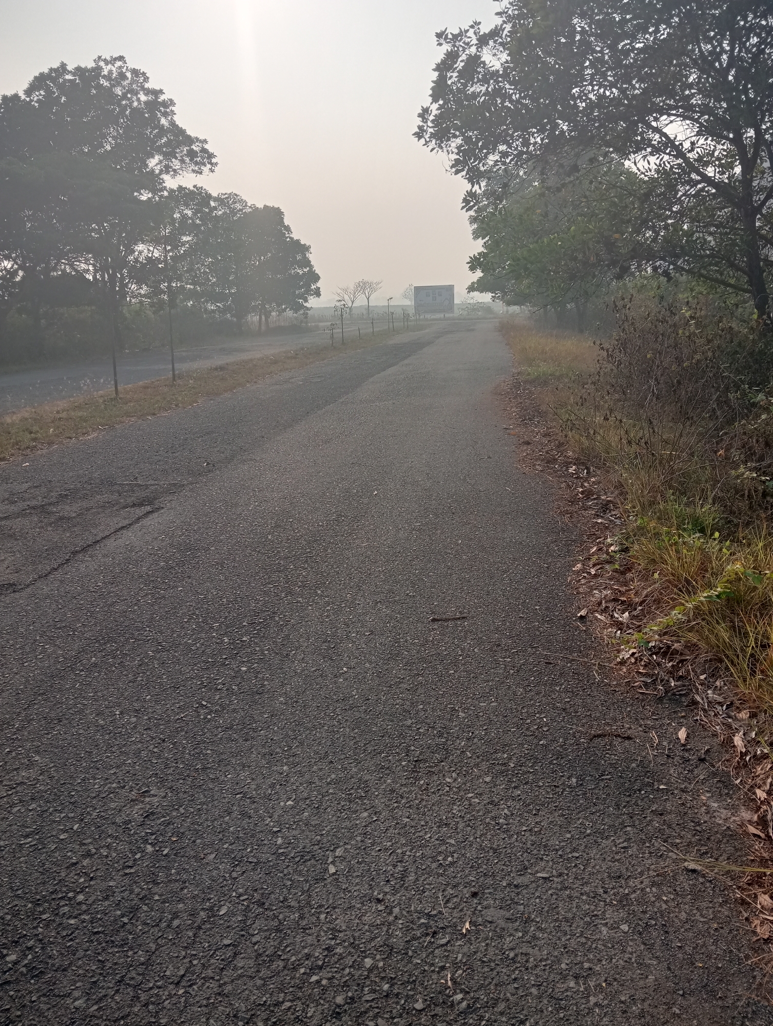 The image depicts an asphalt road in Sidoharjo, Indonesia, on a foggy day. The road curves to the right, leading towards a distant truck. Trees line both sides of the road, with a line of smaller trees and posts on the left. Dry grass and fallen leaves are visible on the right verge. The overall atmosphere is hazy and muted due to the fog.