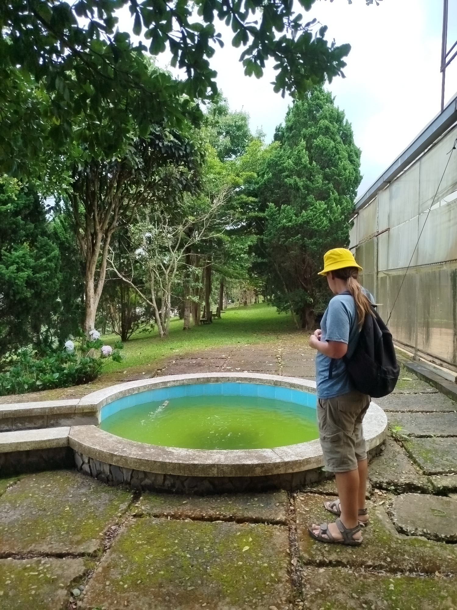 A person wearing a yellow hat, blue t-shirt, khaki shorts, and grey sandals stands beside a circular pool filled with green water. The pool is surrounded by a stone border and a paved pathway made of large square concrete slabs covered in moss. Behind the pool, there is a lush green garden with various trees and plants, including hydrangeas. To the right of the scene, a greenhouse structure with translucent walls is visible. The person is looking towards the pool, with a black backpack slung over their right shoulder. The environment suggests an outdoor recreational area, possibly within a botanical garden or a resort in Lâm Viên - Đà Lạt, Vietnam.