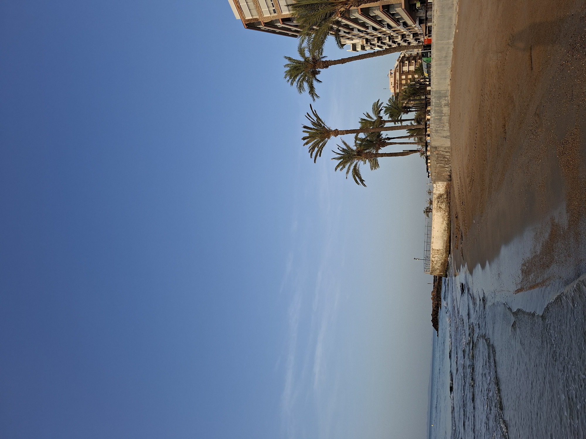 The image captures a view of a sandy beach in Torrevieja, Spain, likely near the city's promenade. The scene is dominated by the vast expanse of a clear blue sky, with a few wispy clouds near the horizon. Gentle waves lap at the shore, creating a textured pattern on the wet sand.
A concrete wall with a black metal railing runs along the edge of the beach, separating it from a paved area. Beyond the wall, a line of palm trees stands tall, their fronds silhouetted against the sky. To the right of the palm trees, a multi-story apartment building with beige-toned facades and numerous balconies occupies the upper right portion of the frame, indicating a developed urban coastline. The building's architecture suggests a modern design, typical of coastal resorts.
Further in the background, more buildings and some smaller palm trees are visible. The overall impression is one of a tranquil seaside setting, possibly early in the morning or late in the afternoon, given the soft light. There are no people visible in the image, contributing to a sense of calm and solitude. The sand shows faint tracks, possibly from maintenance vehicles or previous visitors, but no distinct footprints. A few rocks are visible in the water near a jetty on the left side of the frame.