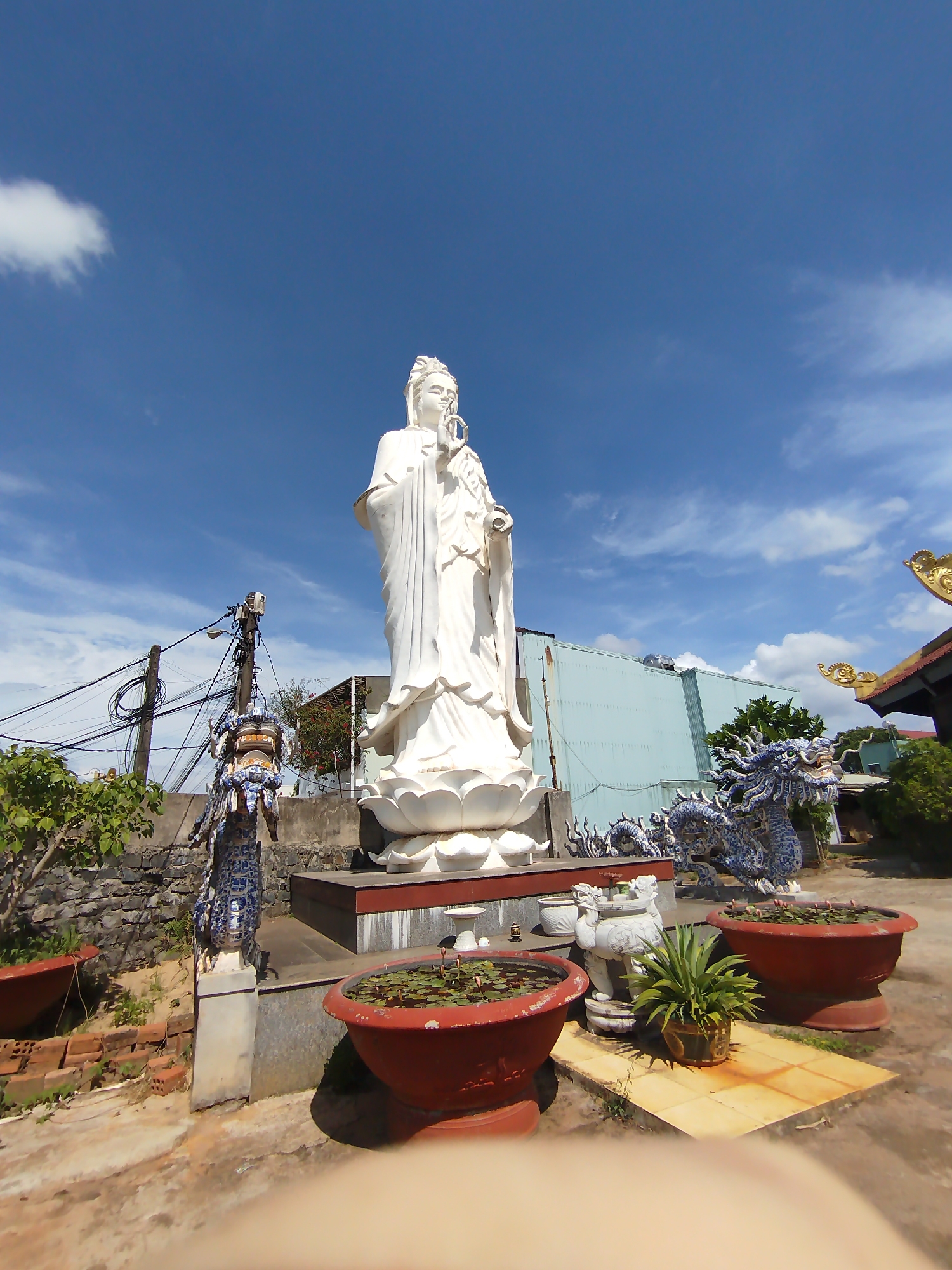 A full shot captures a white statue set against a blue sky with scattered clouds, located in Pleiku Ward, Vietnam. The statue, centered, stands on a lotus pedestal atop a raised platform.
Foreground details include red-brown planters, one containing aquatic plants, and decorative dragon sculptures in blue and white. An electrical pole with multiple wires is visible to the left. The midground features a low stone wall, vegetation, and a light blue building. The background is dominated by the bright sky. The composition exhibits an upward angle, capturing a wide view of the site. The presence of a thumb in the lower corner suggests the photo was taken with a handheld device.