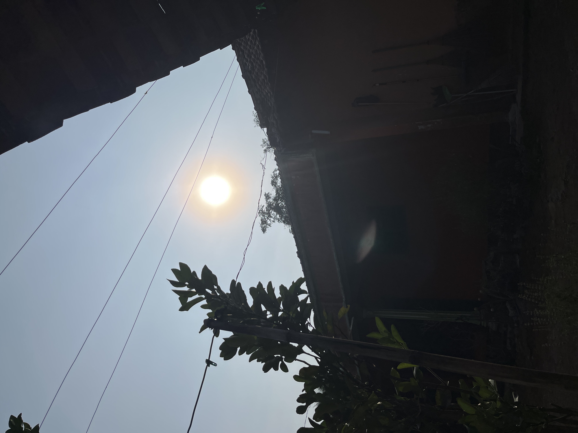 A bright sun is positioned in the upper center of the image, casting a bright glow and lens flare. In the foreground, a silhouetted plant with broad leaves is visible on the left, its branches reaching upwards. Power lines stretch across the sky from left to right, intersecting the sun's rays. A portion of a dark, tiled roof and a brown wall of a building dominate the right and lower portions of the image. In the lower right corner, silhouetted against the wall, are several brooms and other cleaning tools. The scene appears to be an outdoor setting, possibly a residential area in Glagah Kulon, Indonesia, during daylight hours. The overall atmosphere is one of a bright, sunny day with a hint of residential clutter.