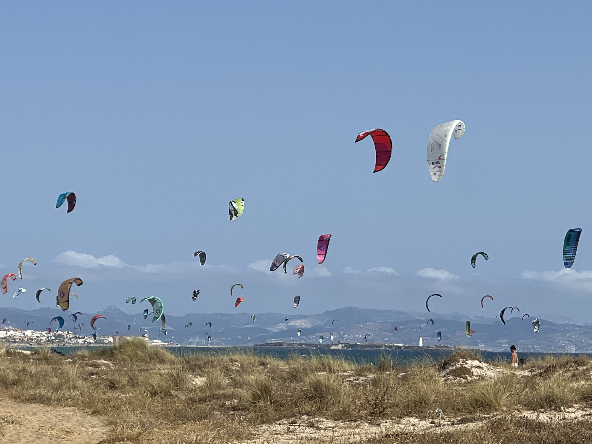 The image depicts a wide shot of the Tarifa coast in Spain, characterized by a clear blue sky and a large number of colorful kitesurfing kites dispersed across the horizon. The foreground features a sandy dune with dry, wispy grasses, suggesting a beach or coastal environment. In the mid-ground, the turquoise waters of the sea are visible, leading to a distant coastline with buildings and a lighthouse, indicative of the town of Tarifa. The background consists of hazy, rolling hills under the expansive sky. Several kitesurfers are in action, their kites in various shapes and sizes, some appearing as mere dots against the sky, while others are more prominent and detailed. The overall scene conveys a sense of wind and activity associated with watersports in a coastal resort.