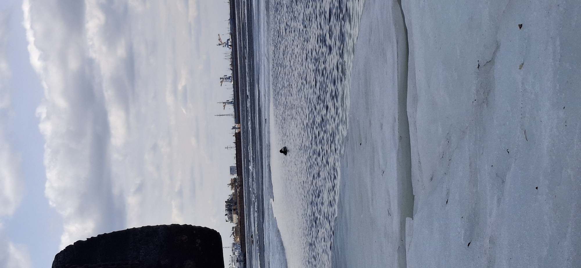 The image captures a tranquil winter scene in Chaikovsky, Russia, likely along the Kama River. The view presents a vast expanse of a partially frozen body of water under an overcast sky.
In the lower left foreground, a dark, rounded object, possibly a concrete pillar or large rock, is partially visible. The midground features the water, with an area of open, rippled water on the left side where a solitary dark bird, appearing to be a duck, floats calmly. To the right of the open water, large sheets of ice extend across the frame, exhibiting a textured, somewhat uneven surface in shades of light blue and grey, with a few small dark specks of debris.
Along the distant horizon, an industrial or urban skyline is visible, characterized by numerous tall cranes, buildings, and utility structures like power lines. These elements appear as silhouettes against the muted sky, indicating distance. The upper portion of the image reveals a pale blue sky covered with soft, elongated grey and white clouds.
The subdued, diffused light suggests an overcast day, likely in early morning or late afternoon, emphasizing the cold climate conducive to ice formation. No specific human activity is depicted, apart from the distant infrastructure. There is no visible text in the image.