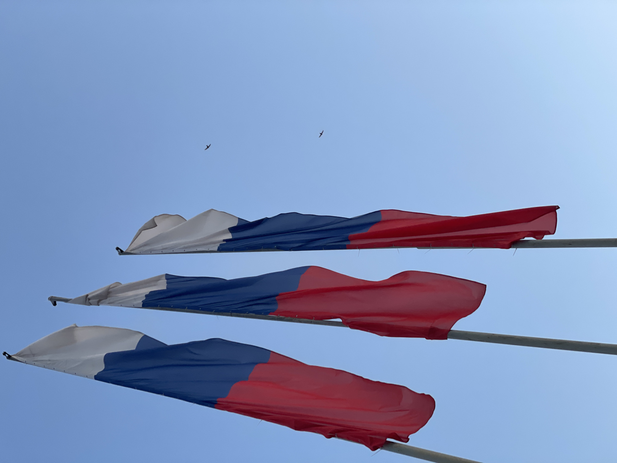 The image shows three horizontal flags in the colors of white, blue, and red, possibly the Russian flag, waving in the wind against a clear blue sky. Two small birds are visible in the distance. The image is taken from a low angle, looking up at the flags. While the image provides no information about Zheleznogorsk, Russia, or any specific location, the flags suggest a possible civic or national association.