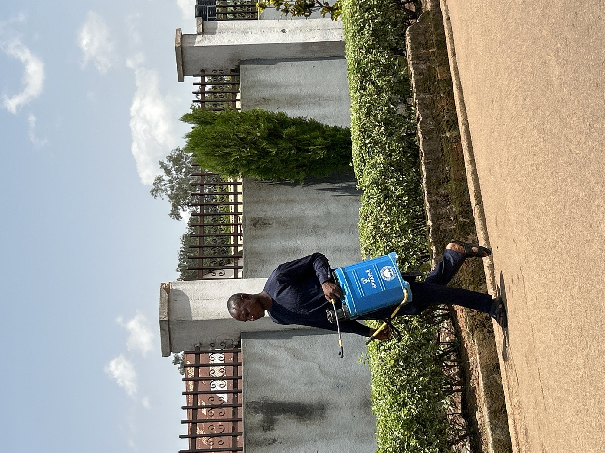 A man is seen from the side, wearing a dark blue outfit and sandals, carrying a blue backpack sprayer. He is in motion, suggesting he is engaged in an activity. The sprayer has the word "SPRAYER" visible on it. He is walking along a concrete path that is adjacent to a dense hedge of green bushes. Behind the bushes, a grey wall is visible, with decorative metal fencing in front of it. A tall, conical green tree stands in front of the wall. The scene appears to be outdoors, with a bright sky and scattered clouds, indicating it is daytime. The lighting suggests it could be mid-morning or early afternoon. The overall setting seems to be a residential or public area with landscaping. The man's posture and the presence of the sprayer imply he is likely spraying the plants or the area for pest control or disinfection.