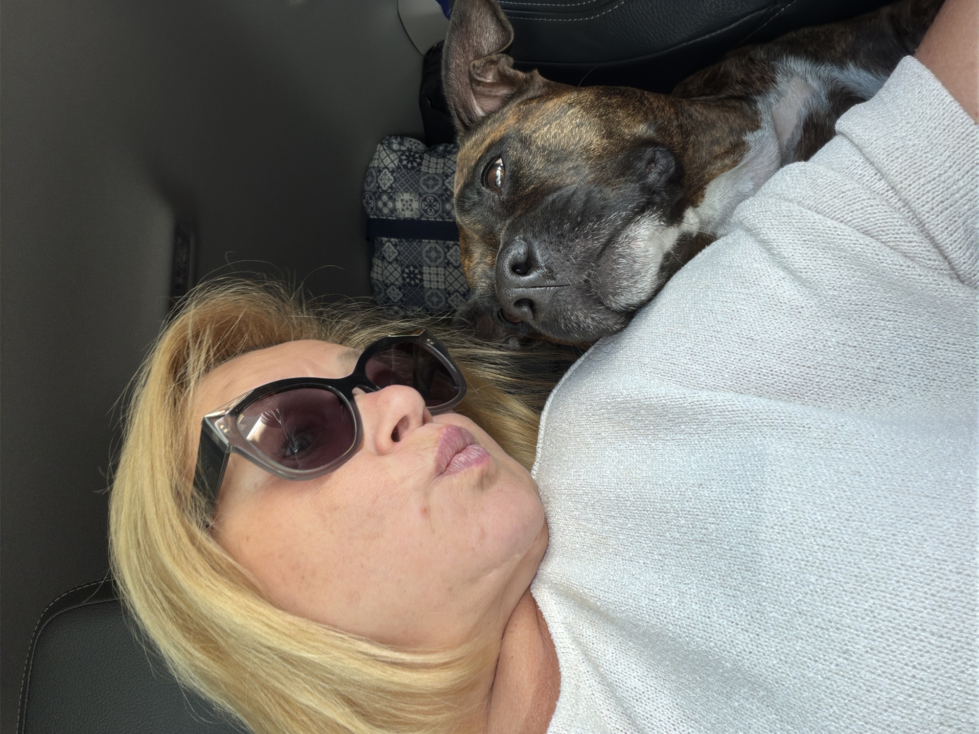 This is a close-up, selfie-style photograph taken inside a vehicle, likely a car, with a person and a dog. The person, a woman with blonde hair and wearing sunglasses, is leaning in towards the dog with her lips puckered. She is wearing a white, knitted sweater. The dog, a brindle-colored pit bull type, is resting its head on the woman's shoulder and looking up at her. The background shows dark car upholstery and a patterned bag. The lighting suggests it is daytime, and the scene is likely a personal moment shared between the woman and her pet during a car journey. The location is specified as the city of Schäffern, Austria.
