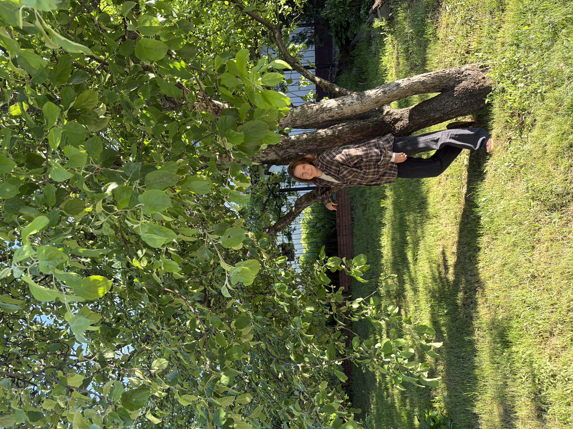 A woman is depicted standing outdoors next to a large, leafy tree, likely in a garden or backyard setting. The image is oriented sideways. The woman, with brown hair, is wearing a long-sleeved plaid shirt or jacket in shades of brown and beige, dark pants (jeans), and light-colored shoes. She is leaning against the tree trunk with a slight smile on her face, looking towards the camera.
The tree dominates the left side of the frame, covered in dense green foliage, with sunlight filtering through the leaves, creating dappled shadows on the bright green grass below. The grass covers the ground where the woman is standing and extends into the background. Behind the tree and the woman, glimpses of a fence or wall and a building are visible, suggesting a residential or cultivated area. The strong, defined shadows on the grass indicate bright sunlight, placing the scene in the daytime, likely a sunny morning or afternoon. The overall atmosphere appears pleasant and relaxed. No visible text is present in the image. The location context provided is Прикамский, Russia.