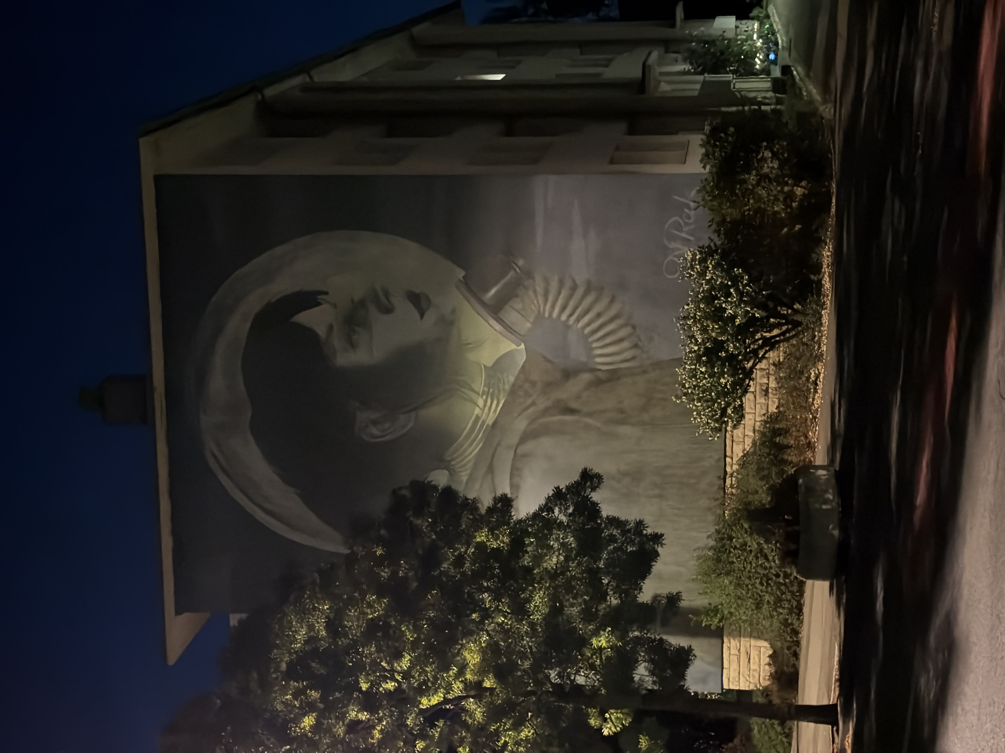 The image depicts a large mural on the side of a multi-story building at night. The mural is a monochromatic depiction of a person, likely a child, wearing a helmet and a circular object that resembles a moon or a bubble around their head. The person is shown in profile, looking to the right, with a curious or thoughtful expression. The mural is detailed, showing the texture of the helmet and the contours of the face. The building itself is light-colored, with windows visible. In front of the building, there are trees, bushes, and a planter. The street in the foreground is dark, with reflections of light creating streaks of color. The sky is a deep blue, indicating nighttime. The location is identified as Esch-sur-Alzette, Luxembourg. There is a signature on the mural, appearing to be "N. Rak". The overall impression is one of public art illuminated at night, showcasing a surreal or imaginative theme.