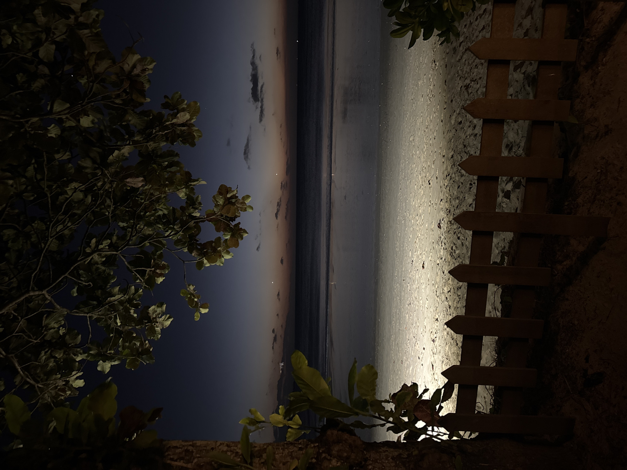 This vertically oriented image captures a serene beach scene at twilight or night in Kuta Selatan, Indonesia. The horizon, where the ocean meets the sky, runs horizontally through the middle of the frame.
On the left, dark, leafy tree branches and foliage are silhouetted against a deep navy blue sky that gradually lightens to a muted orange and pink gradient at the horizon, hinting at either a very late sunset or early dawn. Several faint lights or reflections twinkle on the calm surface of the ocean.
The central and lower-right portion of the image is dominated by a wide sandy beach, brightly illuminated by an unseen light source, likely artificial or strong moonlight, originating from the right. This stark illumination contrasts sharply with the darker elements of the sky and surrounding foliage.
To the right of the brightly lit sand, a rustic wooden picket fence stands. Its individual pickets are clearly visible, and it casts shadows away from the beach, consistent with the light source. Beyond the fence, the ground appears dark and possibly overgrown with sparse vegetation.
No human figures, animals, or explicit activities are visible, contributing to the tranquil and untouched atmosphere of the scene. There is no visible text in the image. The strong contrasts in lighting and the natural elements create a dramatic and peaceful ambiance.