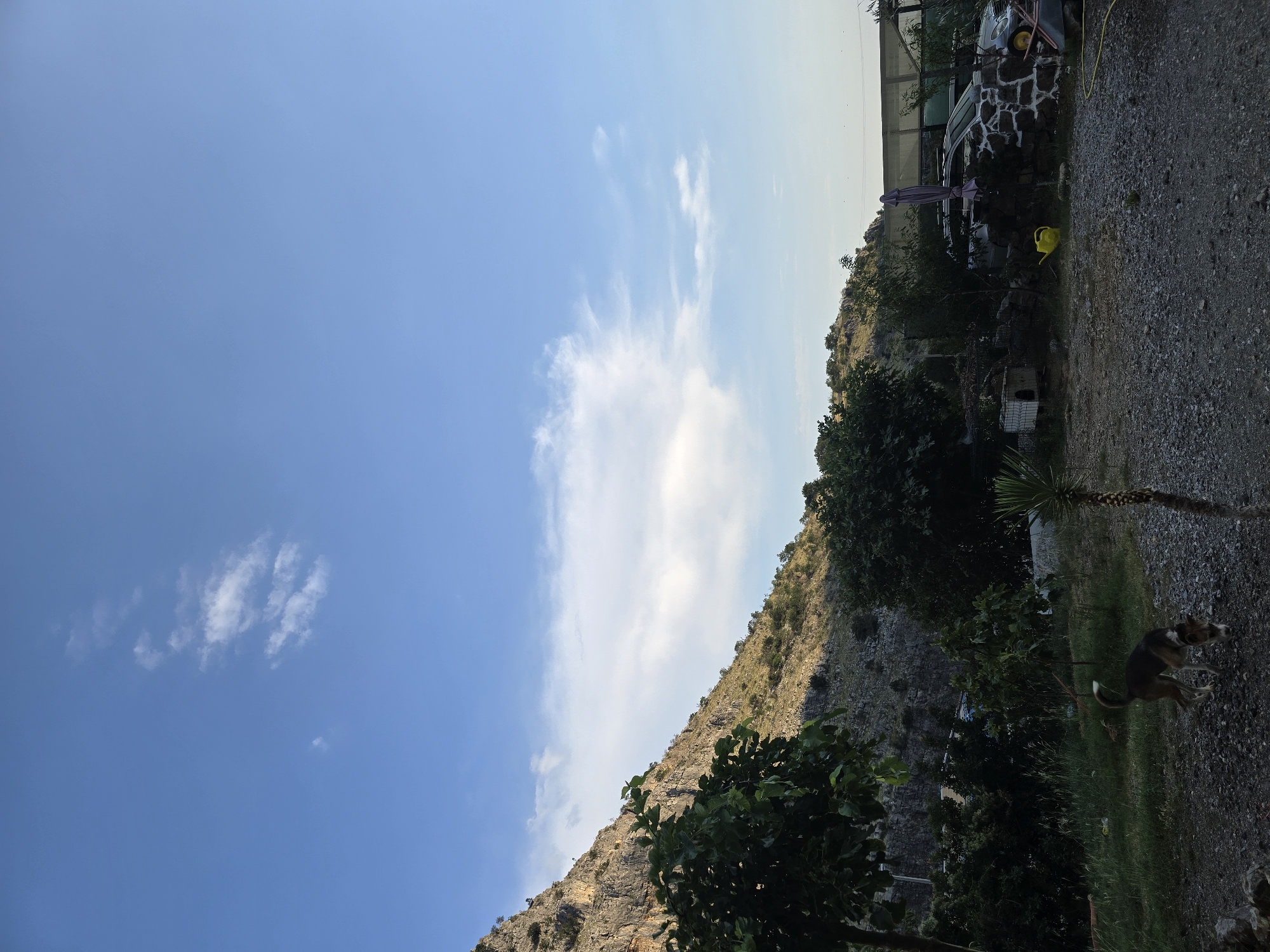 The image depicts an outdoor scene with a rocky hillside dominating the left side, partially covered in sparse vegetation. In the foreground, a gravel area is visible, with a dog sniffing the ground. To the right of the dog, a small yucca plant stands. Further back, there are trees and bushes, and a dog kennel or small structure. Behind the vegetation, a stone wall with a parked car partially visible is situated. A yellow watering can rests on the ground near the wall. The sky above is blue with scattered white clouds. While the image has a natural, somewhat rural feel, it's not possible to definitively place it within the city of Podgorica, Montenegro, based solely on the visual information provided.