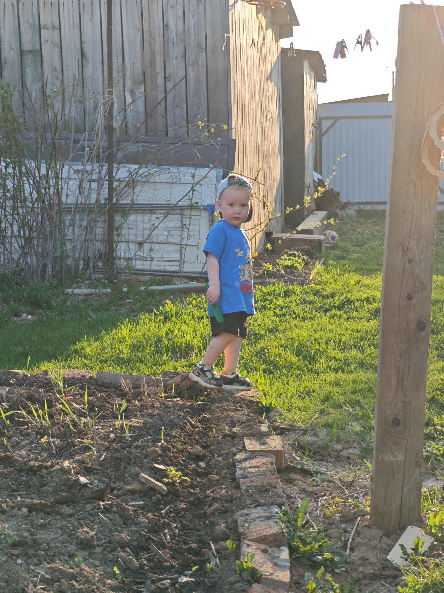 A young boy stands on a dirt and brick border between a cultivated garden bed and a grassy area in what appears to be a backyard in Фоки, Russia. He is wearing a blue t-shirt, dark shorts, a cap, and sneakers. He is holding a green object in his hand. Behind him is a weathered wooden fence and a structure with clothes hanging on a line. Sunlight casts strong shadows across the scene.