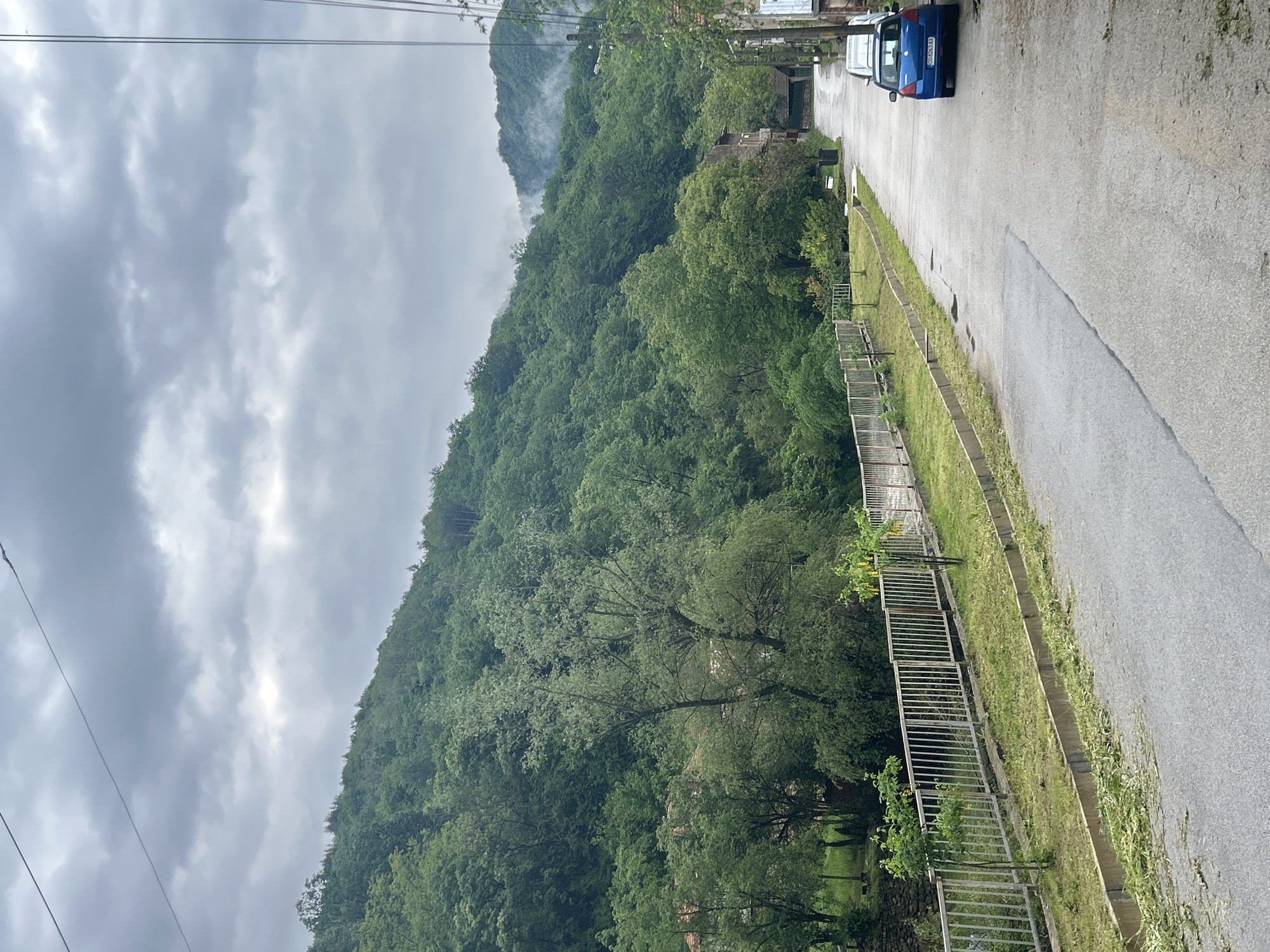 A slightly tilted, medium-shot depicts a street scene located in an area identified as Unknown, Unknown. The sky is overcast with gray clouds. Adjacent to the road is a grassy verge lined with a low metal fence. Beyond the fence, the landscape slopes upwards, covered in dense green foliage, suggesting a hillside or mountain. The road itself is paved and appears wet, indicating recent rainfall or damp conditions. A blue car is parked on the right side of the road, and another vehicle is partially visible further up the street. Power lines are visible in the upper left corner of the frame. The vegetation on the hillside appears lush and overgrown.