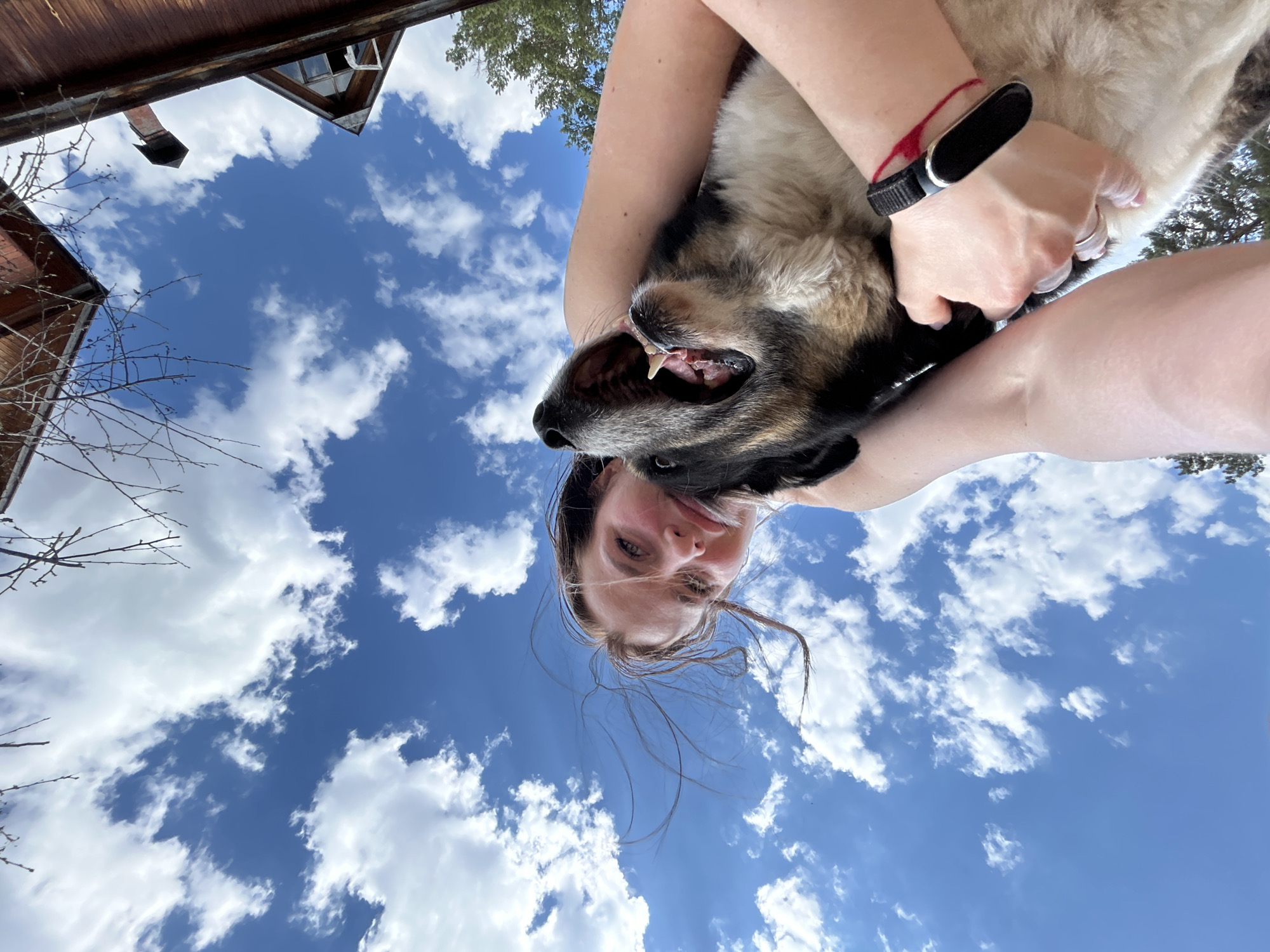 A low-angle, upside-down, color photograph depicts a person holding a dog against a backdrop of a partly cloudy sky. The person, possibly female, is at the bottom of the frame, her face partially obscured by wisps of hair. She is holding a medium-sized dog with black and tan fur. The dog has its mouth open, revealing its teeth. The person has a black fitness tracker on her wrist. The sky is blue with scattered white clouds. Parts of wooden buildings are visible in the top left and right corners. The location is speculated to be Rusalevka, Russia.