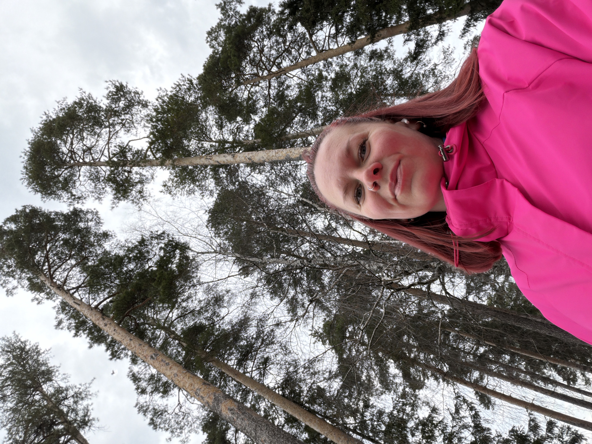 A low-angle selfie shows a woman with red-toned hair and fair skin wearing a bright pink jacket. She is looking down at the camera. The background is composed of tall, bare trees with dark green foliage against a cloudy sky. The photo appears to have been taken outdoors in a wooded area. Although I don't have enough information to identify the location in Chaikovsky, Russia, it's clear that the photo features dense trees typical of the region's forests.