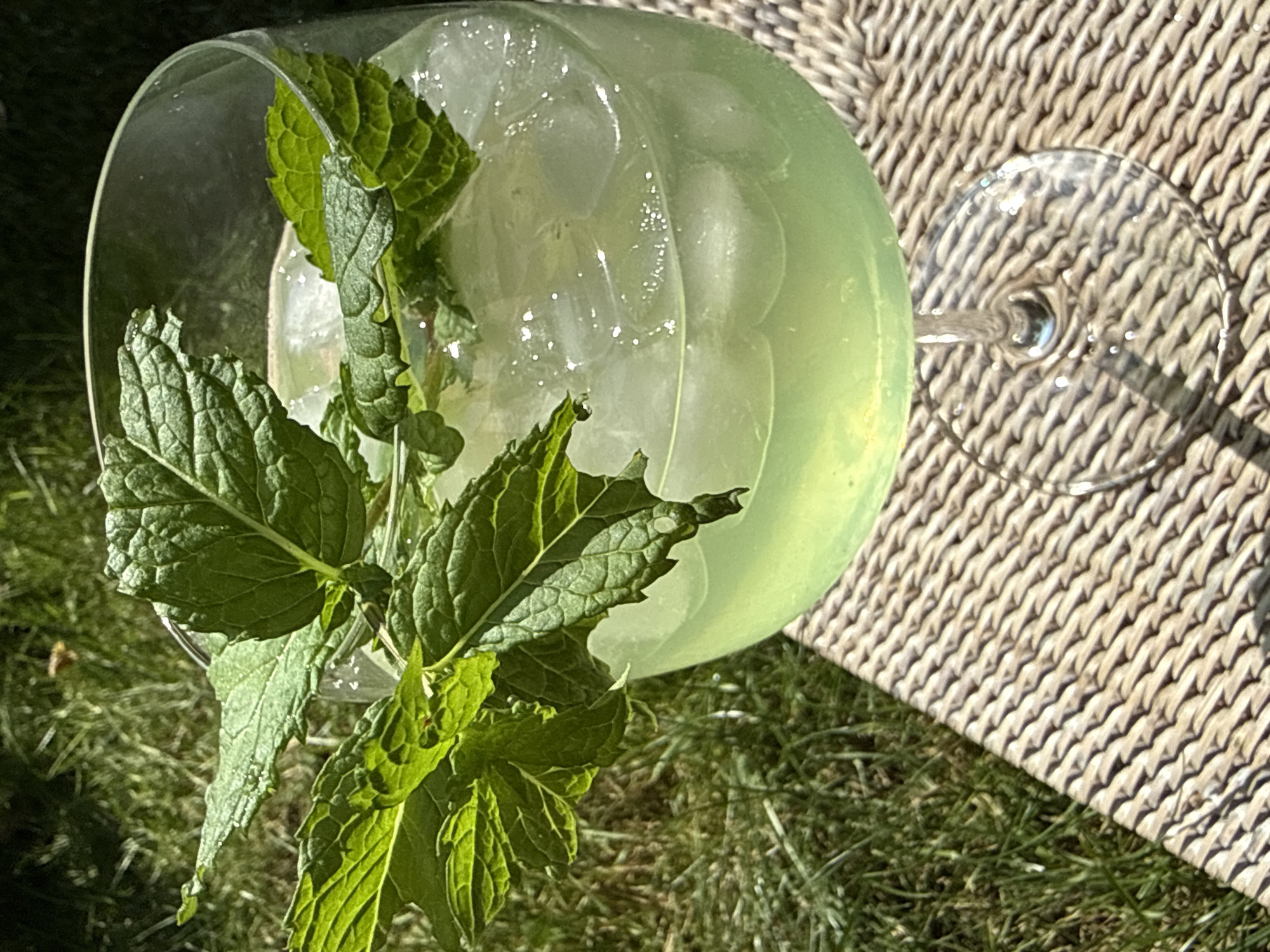 A close-up shot of a tall, clear stemmed glass filled with a pale green beverage and ice, garnished with fresh mint sprigs. The glass rests on a woven, tan placemat, which is set on a background of vibrant green grass. The scene appears to be outdoors, possibly in a garden. The sunlight casts shadows and highlights on the glass and the mint. There is no indication of the city of Bad Sachsa, Germany, in this image.