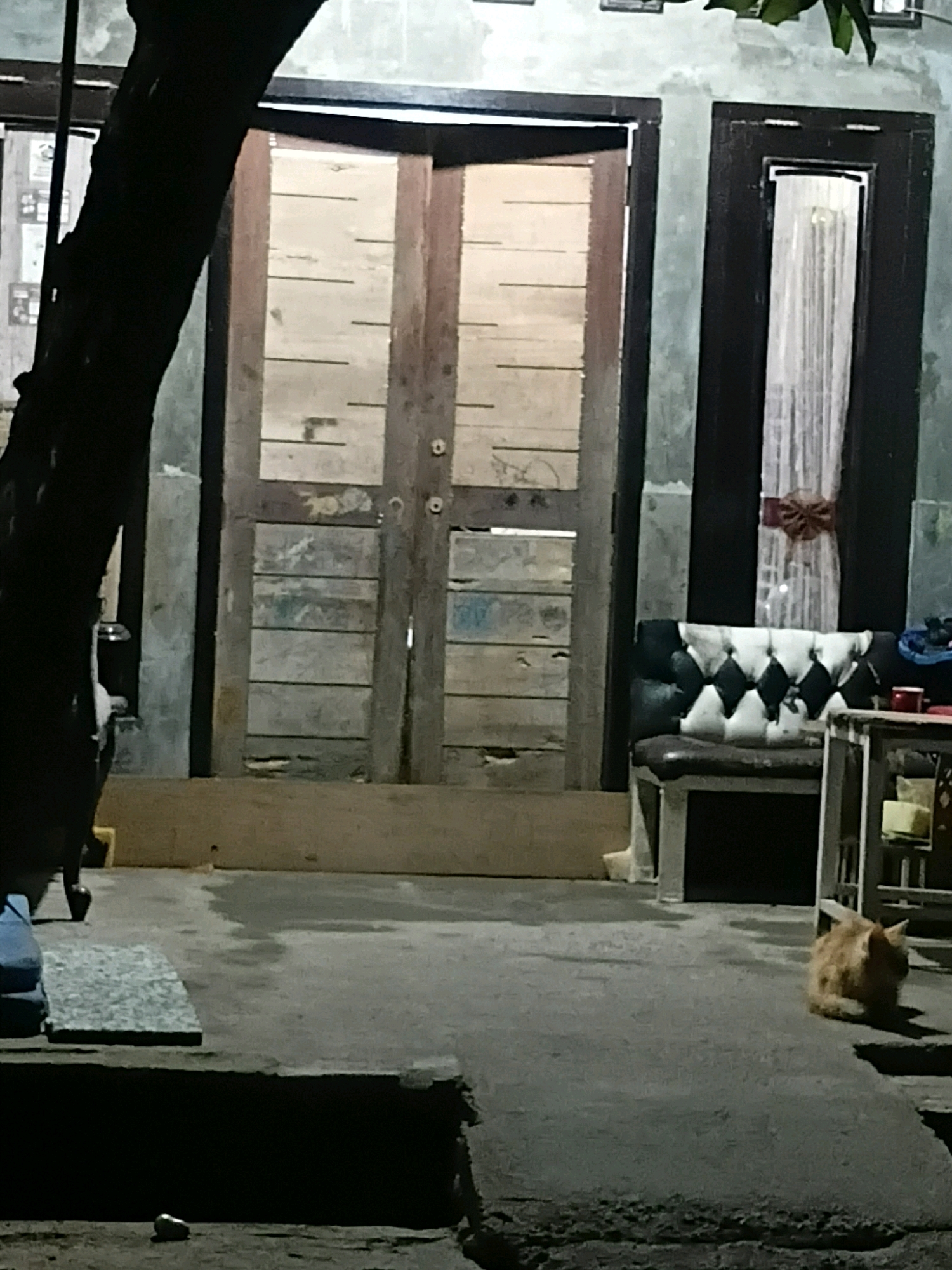 An outdoor scene in Cikal, Indonesia, at night, features a dimly lit yard with a concrete floor. A large tree trunk dominates the left side of the frame, obscuring a portion of the background. Directly behind the tree is a set of double wooden doors with horizontal planks. To the right of these doors is another, narrower wooden door with a sheer white curtain and a dark red bow. In front of this doorway sits a black and white diamond-patterned sofa. To the right of the sofa, a small table with various objects, including a red cup, is visible. Further to the right, a ginger-colored cat is seated on the concrete floor. The overall environment appears to be a residential area.