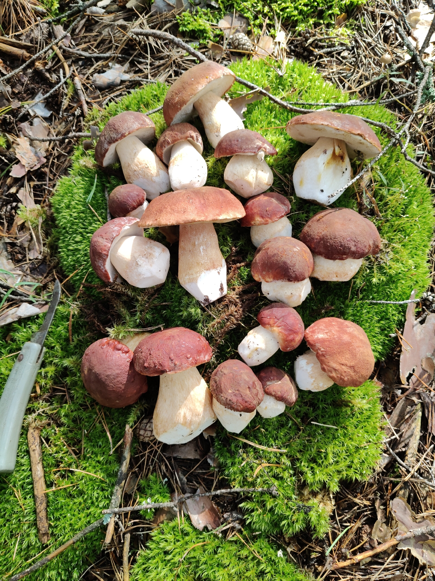 Memory