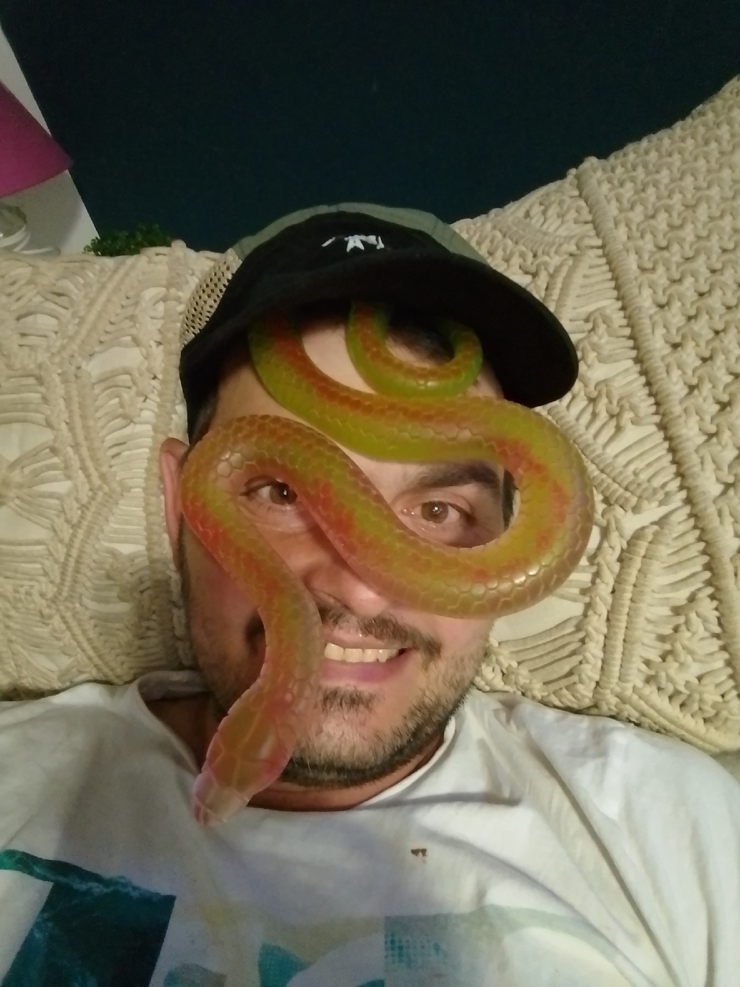 A man wearing a black baseball cap and a white t-shirt is pictured indoors, reclining on a textured, cream-colored surface that appears to be a pillow or blanket. A translucent, segmented snake-like object, colored in shades of green and red, is wrapped around the man's head, covering his eyes and nose. The snake's head is positioned near his mouth, which is open in a smile, revealing his teeth. The background includes a dark wall and a hint of a pink lampshade. The scene is lit by artificial light. There is no information in the image to suggest a location in Wedel, Germany.