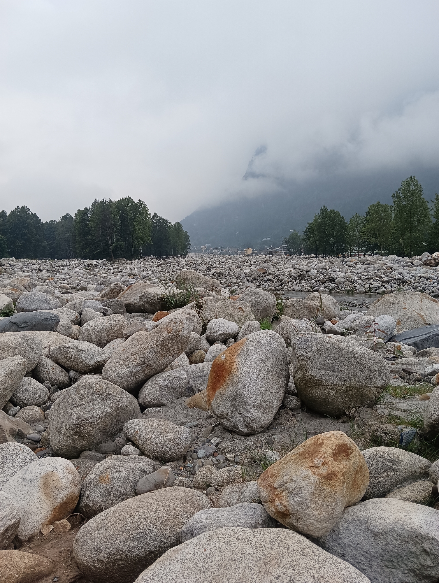 The image depicts a rocky riverbed in the city of Goshal, India, under a cloudy sky. The foreground is dominated by numerous large, rounded stones of varying sizes, primarily gray and beige, with some exhibiting reddish-brown hues. Patches of dry grass and dirt are visible between the rocks. In the midground, a small stream flows gently, partially obscured by more rocks. Beyond the riverbed, a dense line of green trees forms a natural barrier, with some buildings and more distant trees visible in the background. The far background features misty mountains, with one peak partially visible through the fog. The scene is devoid of any people or animals.