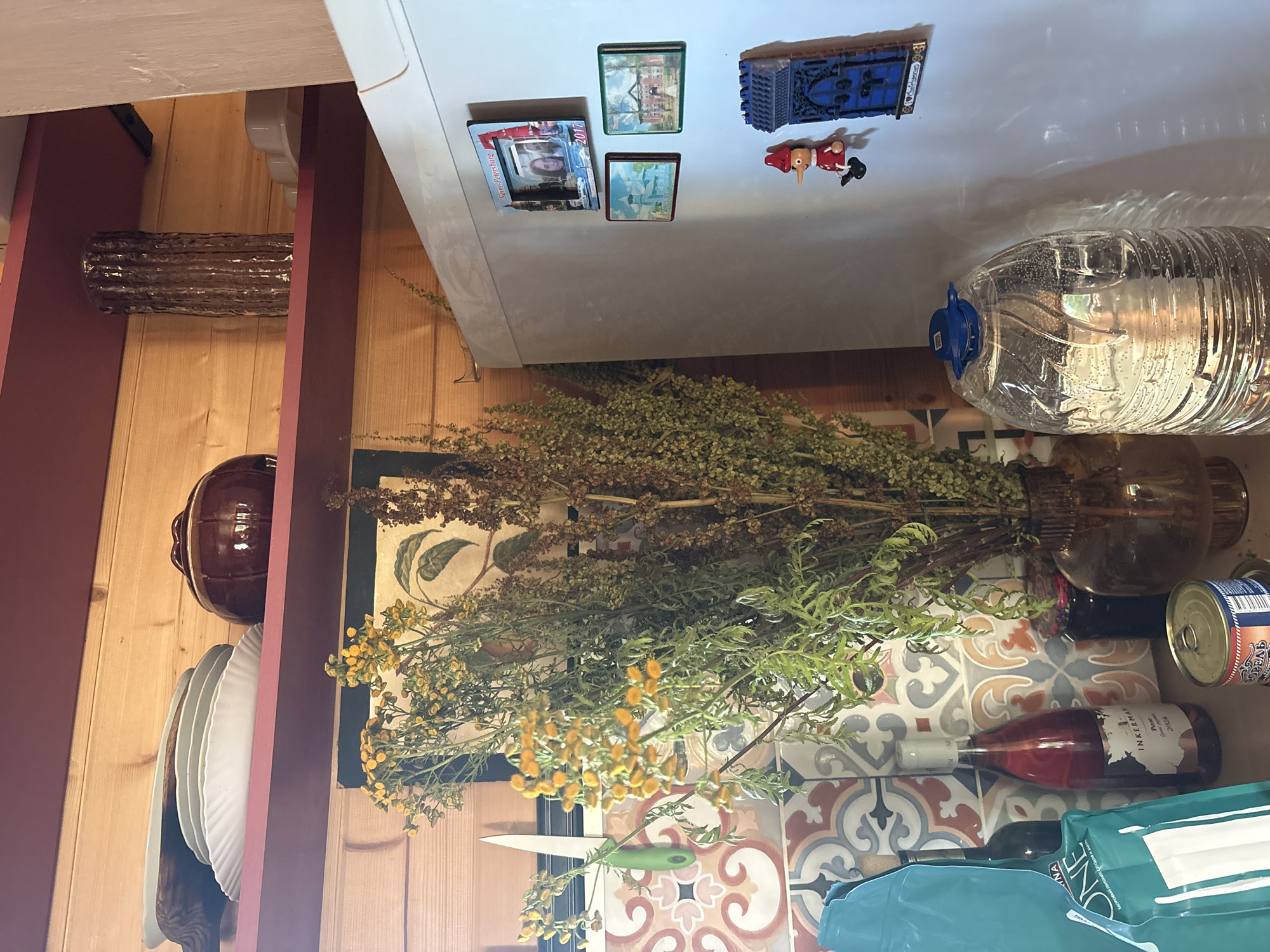 This image shows the interior of a kitchen or pantry in Lyady, Russia. A wooden wall forms the background. On a red shelf above, there are stacked plates and a brown ceramic pot. To the right, on another shelf, is a decorative brown vase. In front of the wooden wall, a large bouquet of dried flowers with small yellow blossoms is arranged in a brown glass vase. To the left of the flowers, a green-handled knife is visible against a tiled backsplash.
In the foreground, a bottle of pink wine labeled "INKERMAN" stands on the counter. Next to it is a dark jar. To the left of the wine bottle, a large blue plastic bag is visible. Below the wine bottle, a tin can with a red and blue label is placed on another surface.
To the right of the dried flowers, a white refrigerator is prominent. It is decorated with several magnets. One magnet is a photo frame with a picture of two people and the text "Sankt-Peterburg 2017". Below that are two smaller rectangular magnets depicting buildings. Further down on the refrigerator is a small red and black figurine of Pinocchio and a blue decorative magnet resembling a doorway.
In the lower right corner of the image, a large clear plastic bottle filled with water and visible bubbles dominates the foreground. The overall scene appears to be a domestic setting with a focus on storage and decorative elements.