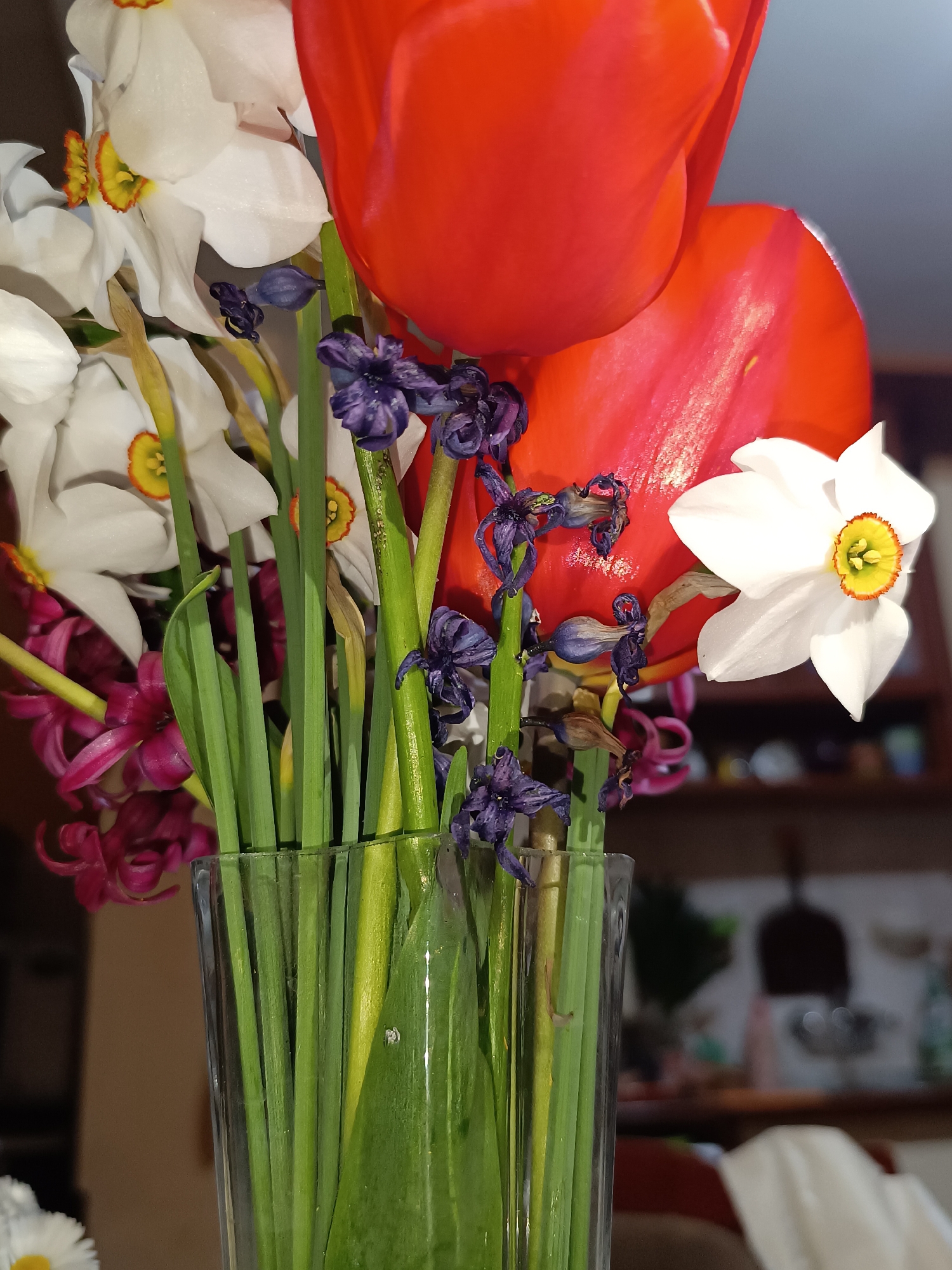 A close-up, slightly low-angle shot shows a vase filled with an assortment of flowers, positioned indoors. Predominantly red tulips dominate the composition, accompanied by white daffodils with yellow and orange centers, as well as purple hyacinths, some of which appear wilted. The flowers are arranged within a transparent glass vase, allowing visibility of the green stems submerged in water. The background reveals a domestic setting, with blurred elements suggesting a kitchen or dining area. The image's location is purportedly in Pleven, Bulgaria, although this cannot be definitively verified from the visual data alone. No people are visible in the image.