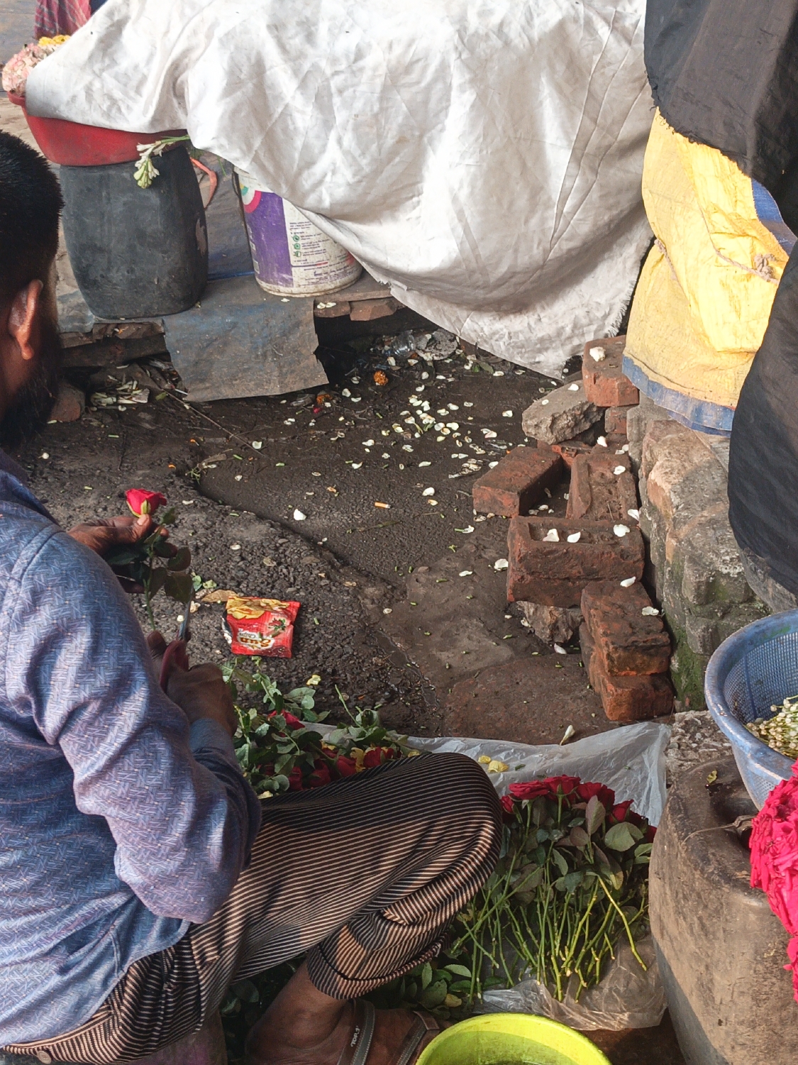 The image provides an elevated view of a person engaged in flower preparation at an outdoor stall, likely in a market setting in Dhaka, Bangladesh. The primary subject is a male individual, seen from the back and side, squatting on the ground. He wears a blue and white patterned long-sleeved shirt and striped trousers. His hands are focused on trimming or arranging a single red rose, with numerous fresh red roses bundled together on a white plastic sheet beside him. A green bucket containing liquid is partially visible nearby.
The ground is unpaved, appearing damp and soiled, and is scattered with discarded white and orange flower petals, indicating an ongoing process of flower work. Various makeshift elements define the workspace: bricks are used as supports or are integrated into the ground. A dark-colored drum topped with a red bowl and a purple and white bucket, identified as a "Berger" paint can, stand against a white tarp that forms part of the stall's structure. To the right, a blue plastic basket contains white flowers, possibly jasmine, while bright pink flowers rest next to a stone or concrete pot. A yellow tarp and a dark cloth provide additional covering behind these elements. A small red packet lies on the ground near the roses. The scene captures the diligent, routine activity of a flower vendor, under natural daylight.