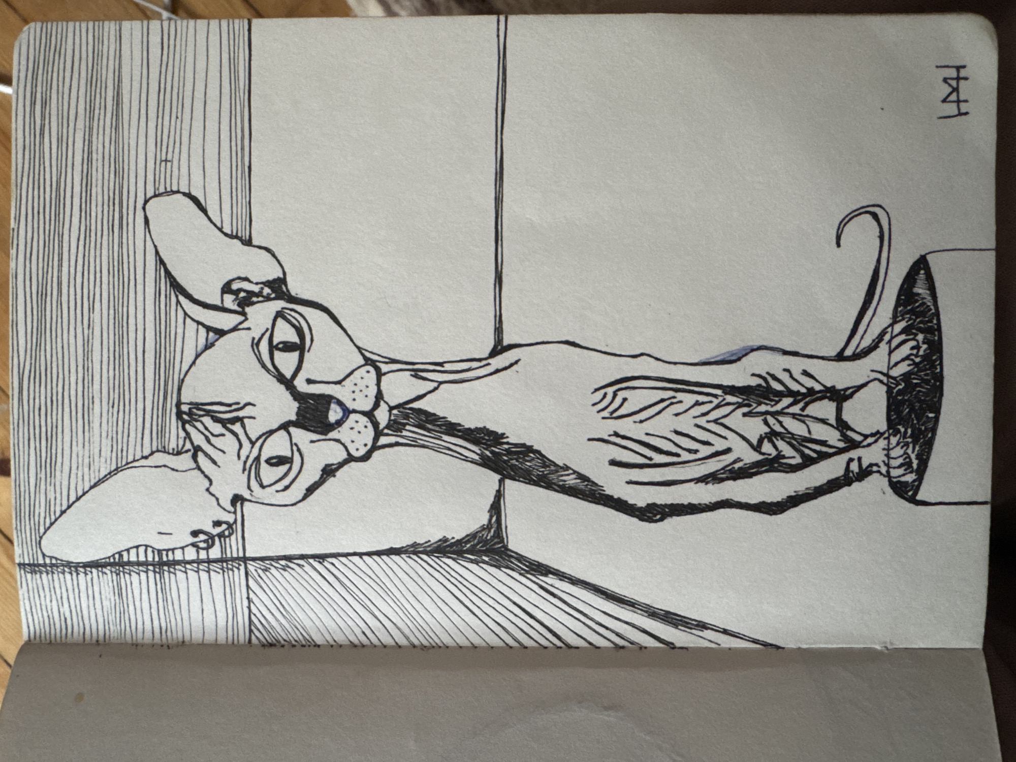 This black ink drawing on white paper, likely from a sketchbook, depicts a stylized Sphynx cat resting in an indoor setting. The cat is positioned horizontally across the page, with its head on the left and its body stretching towards the right, ending with a curled tail.
The subject, a Sphynx cat, is rendered with an elongated body that emphasizes its characteristic hairless skin folds and visible musculature. Its large, expressive eyes gaze upwards, and its large ears are prominent. The cat's expression appears calm and contemplative, suggesting it is relaxing.
The scene is an interior view, with abstract geometric lines forming the background. On the left, vertical lines suggest a wall or partition, while diagonal lines in the lower right corner indicate a floor or another flat surface. The cat's head rests on a similar flat surface, possibly a step or a piece of furniture. The drawing technique utilizes fine black ink lines, with cross-hatching providing texture and shading, particularly on the cat's body and the background elements. There are subtle hints of blue, possibly from a light blue pen, near the cat's chest and snout.
In the top right corner of the page, a stylized signature or initials, appearing as "M H" or "H M," are visible. Although the drawing itself does not contain specific visual cues to its location, the provided context places this media file in Sofia, Bulgaria.