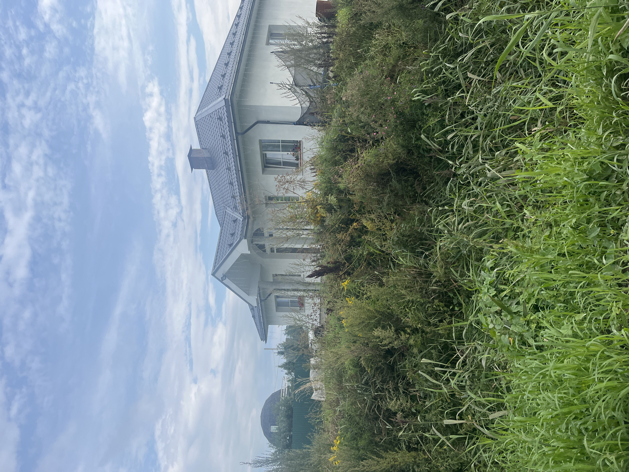 A modern white house with a dark gray roof and a chimney is situated behind a dense, overgrown area of green grass, weeds, and yellow wildflowers. The house has multiple windows, and some string lights are draped along the roofline. In the background, a rounded, dark-roofed structure is visible behind a green fence. The sky is partially cloudy with a blue hue. The scene appears to be on the outskirts of Vladimirovka, Russia, suggesting a rural or semi-rural setting with ongoing construction or landscaping.
